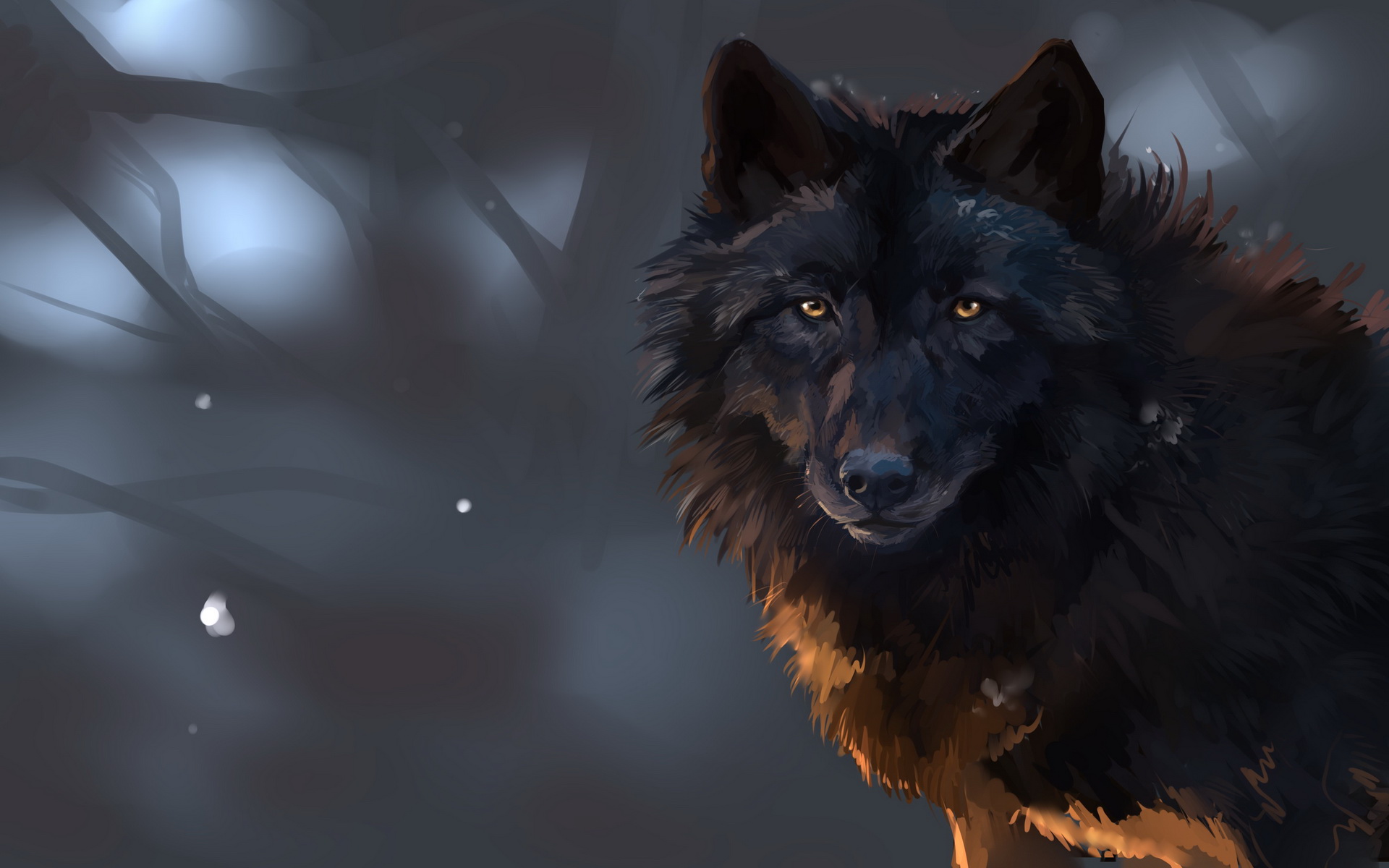 339529 descargar imagen wolves, animales, lobo: fondos de pantalla y protectores de pantalla gratis