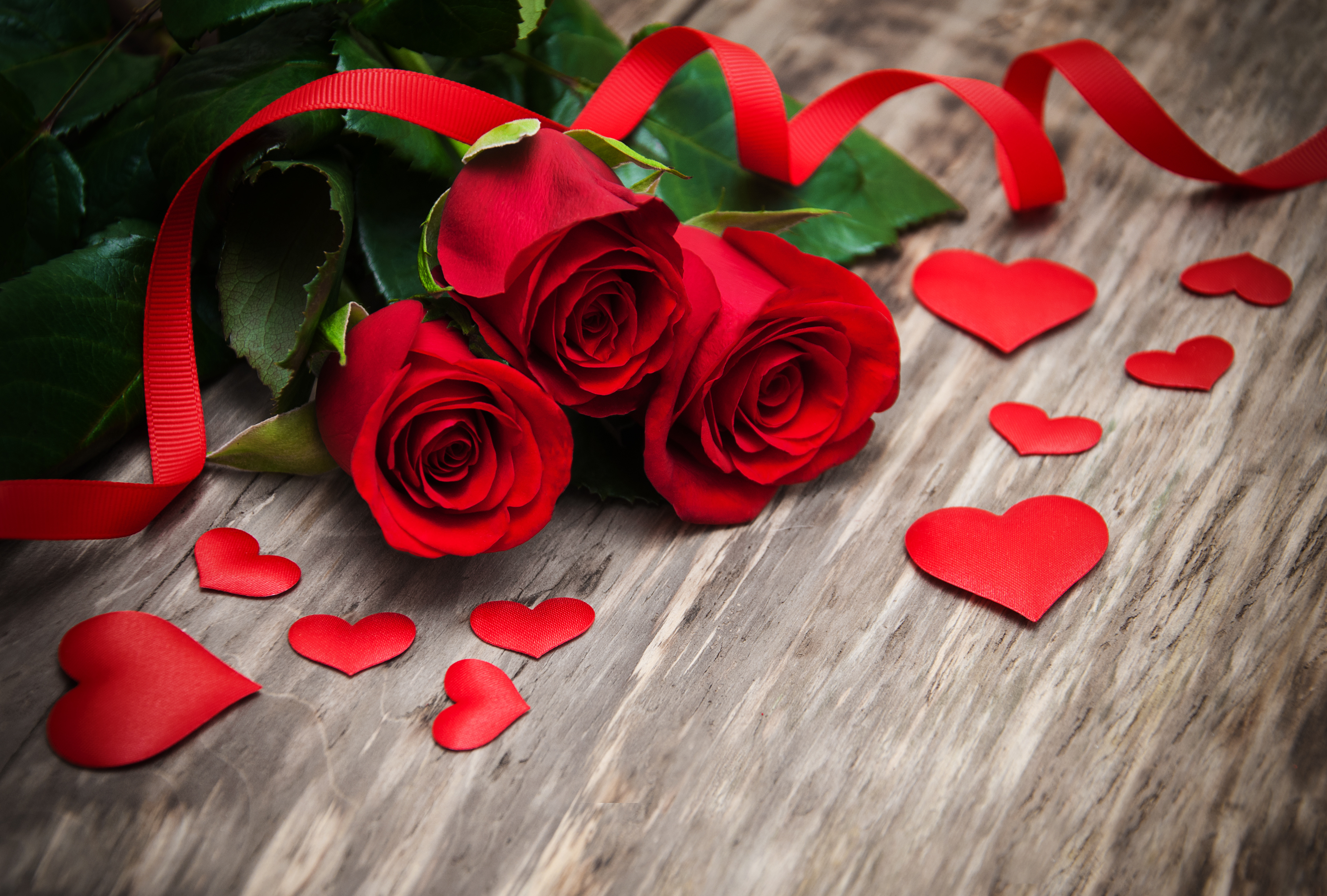 Download mobile wallpaper Valentine's Day, Flower, Rose, Holiday, Heart, Ribbon, Red Rose, Red Flower for free.