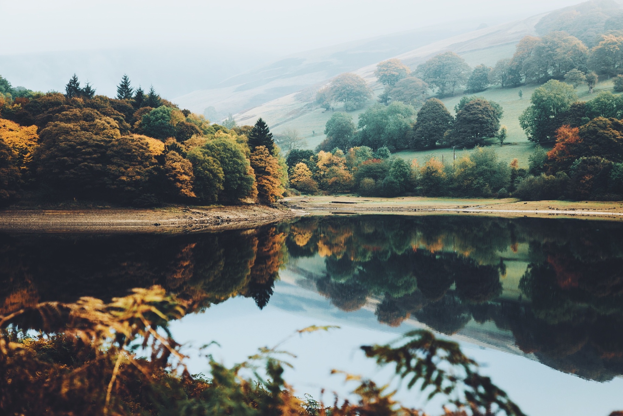 Free download wallpaper Nature, Lake, Reflection, Tree, Fog, Earth on your PC desktop