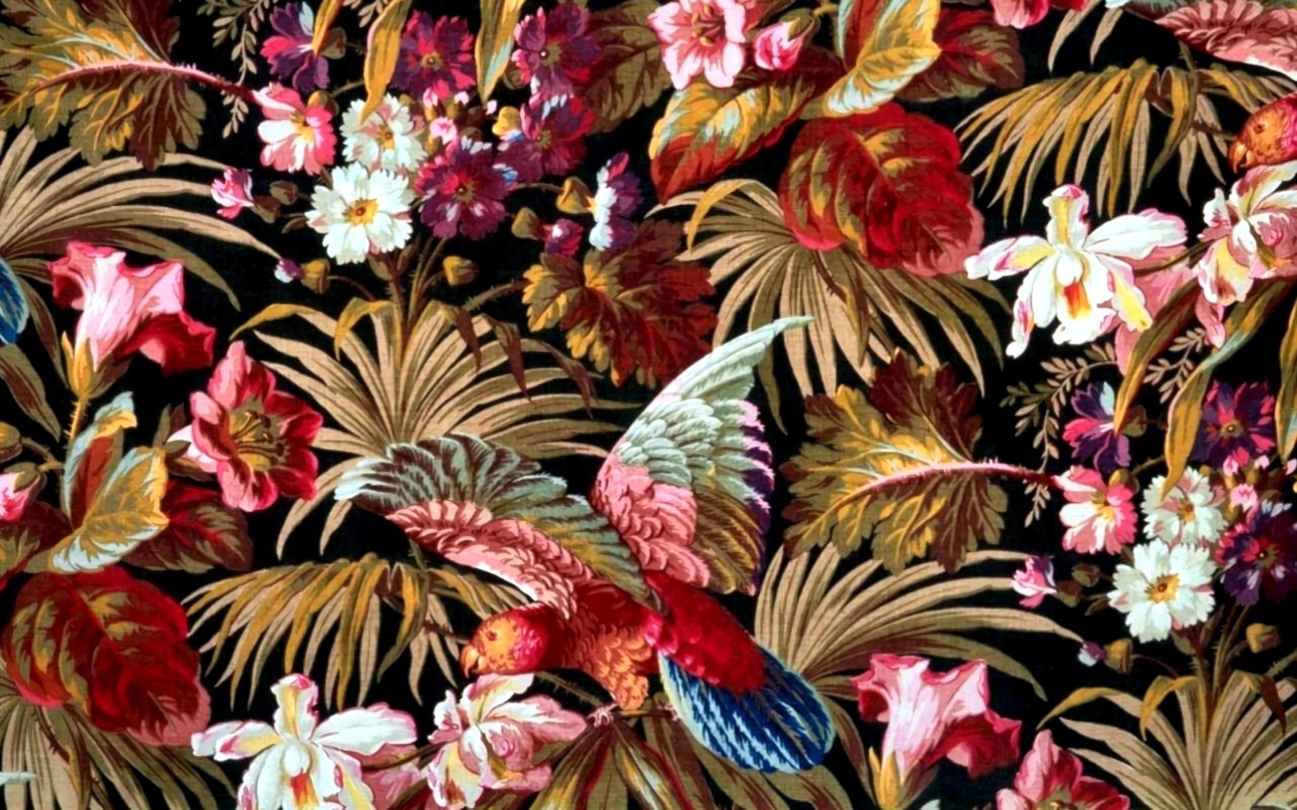 Téléchargez des papiers peints mobile Fleur, Oiseau, Collage, Artistique, Tropical gratuitement.