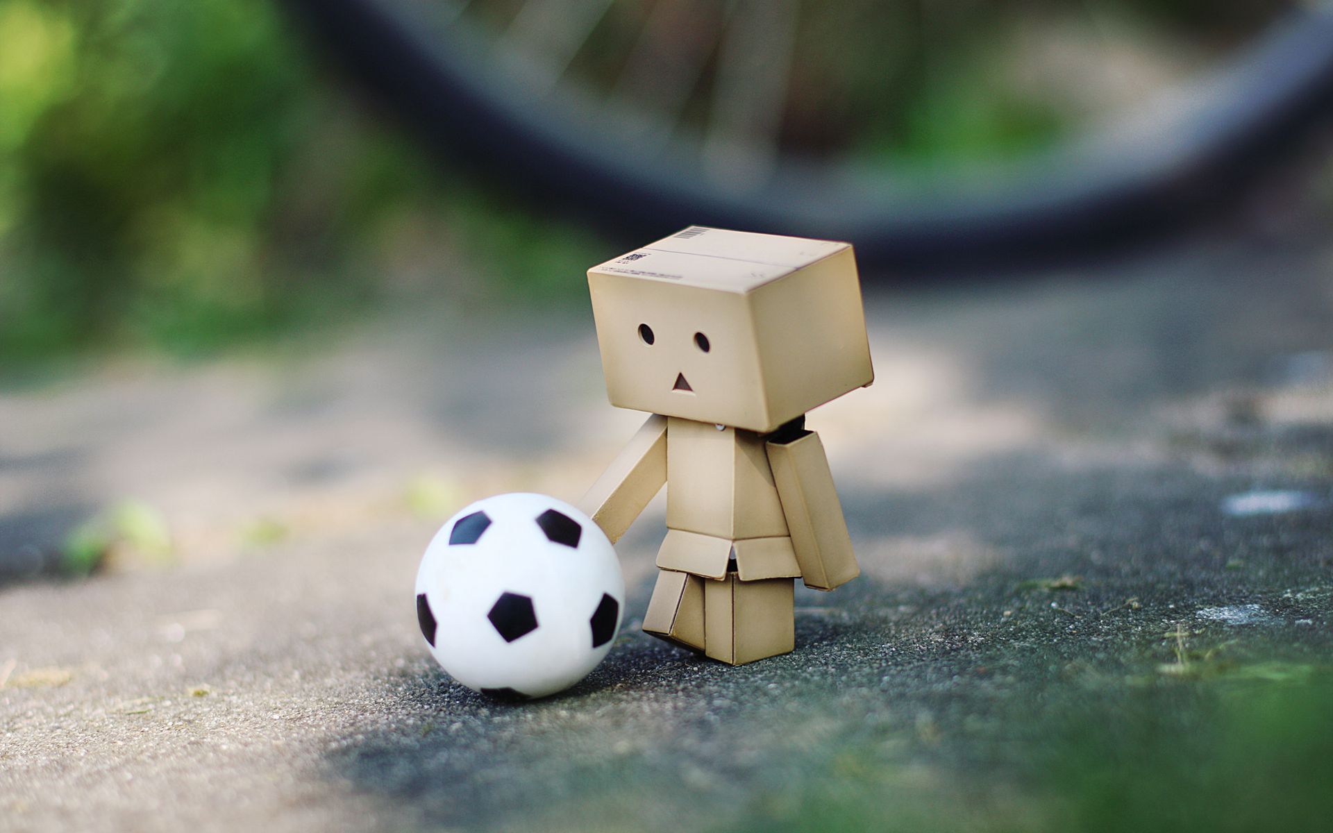 Laden Sie das Fußball, Verschiedenes, Danbo-Bild kostenlos auf Ihren PC-Desktop herunter