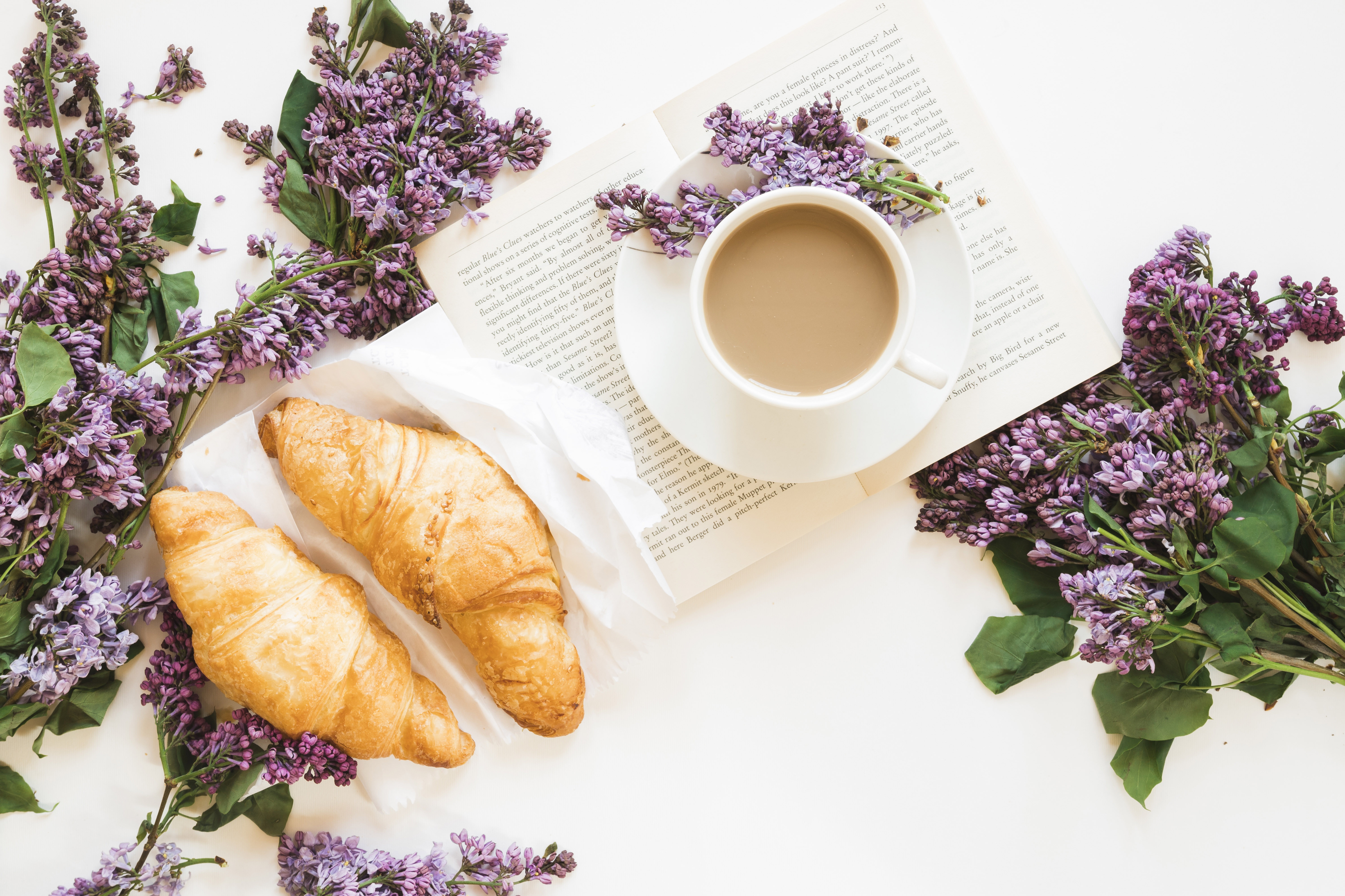 Download mobile wallpaper Food, Coffee, Still Life, Flower, Cup, Breakfast, Croissant, Viennoiserie for free.
