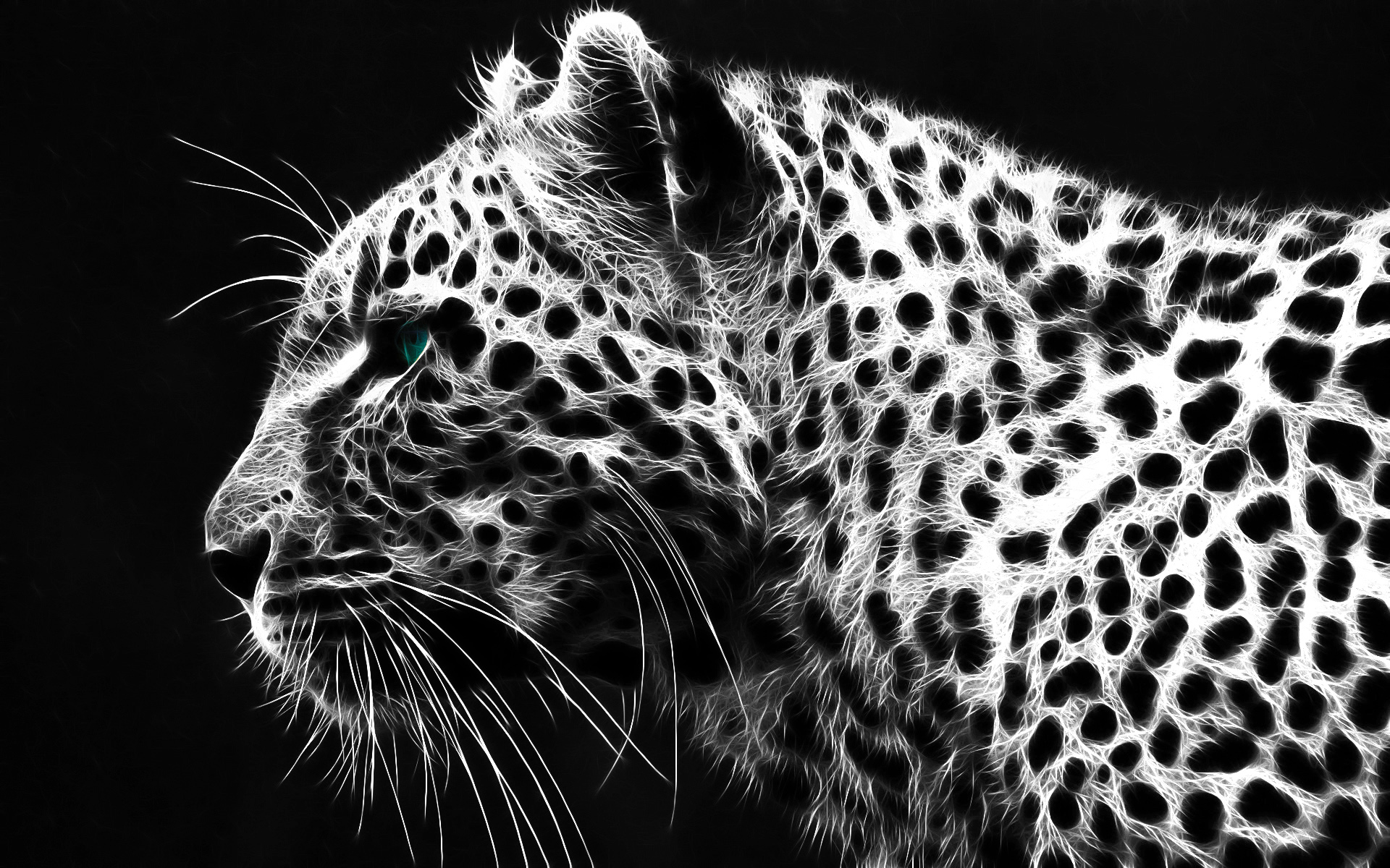 Baixar papel de parede para celular de Leopardo, Gatos, Animais gratuito.