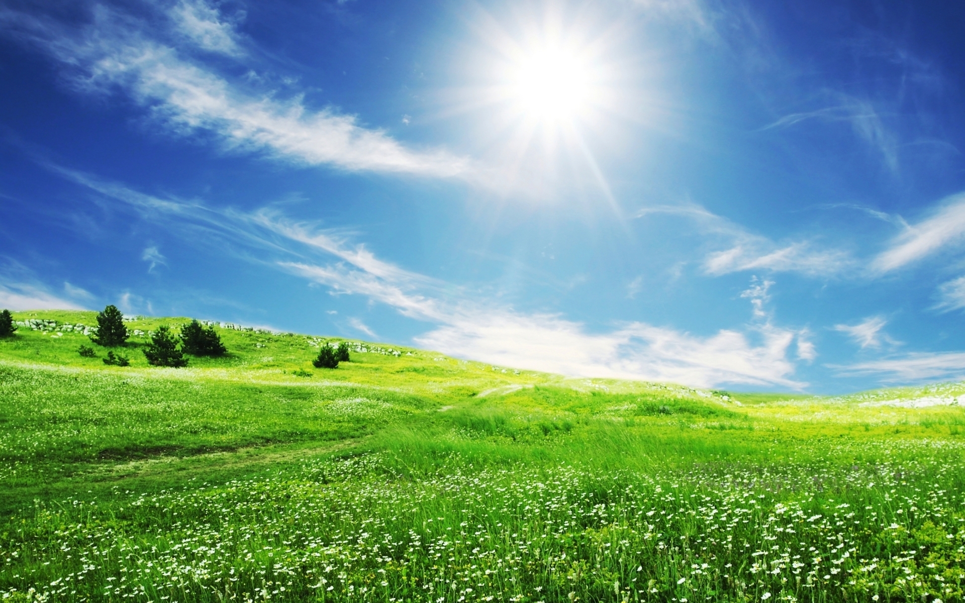 Handy-Wallpaper Sun, Grass, Sky, Landschaft kostenlos herunterladen.
