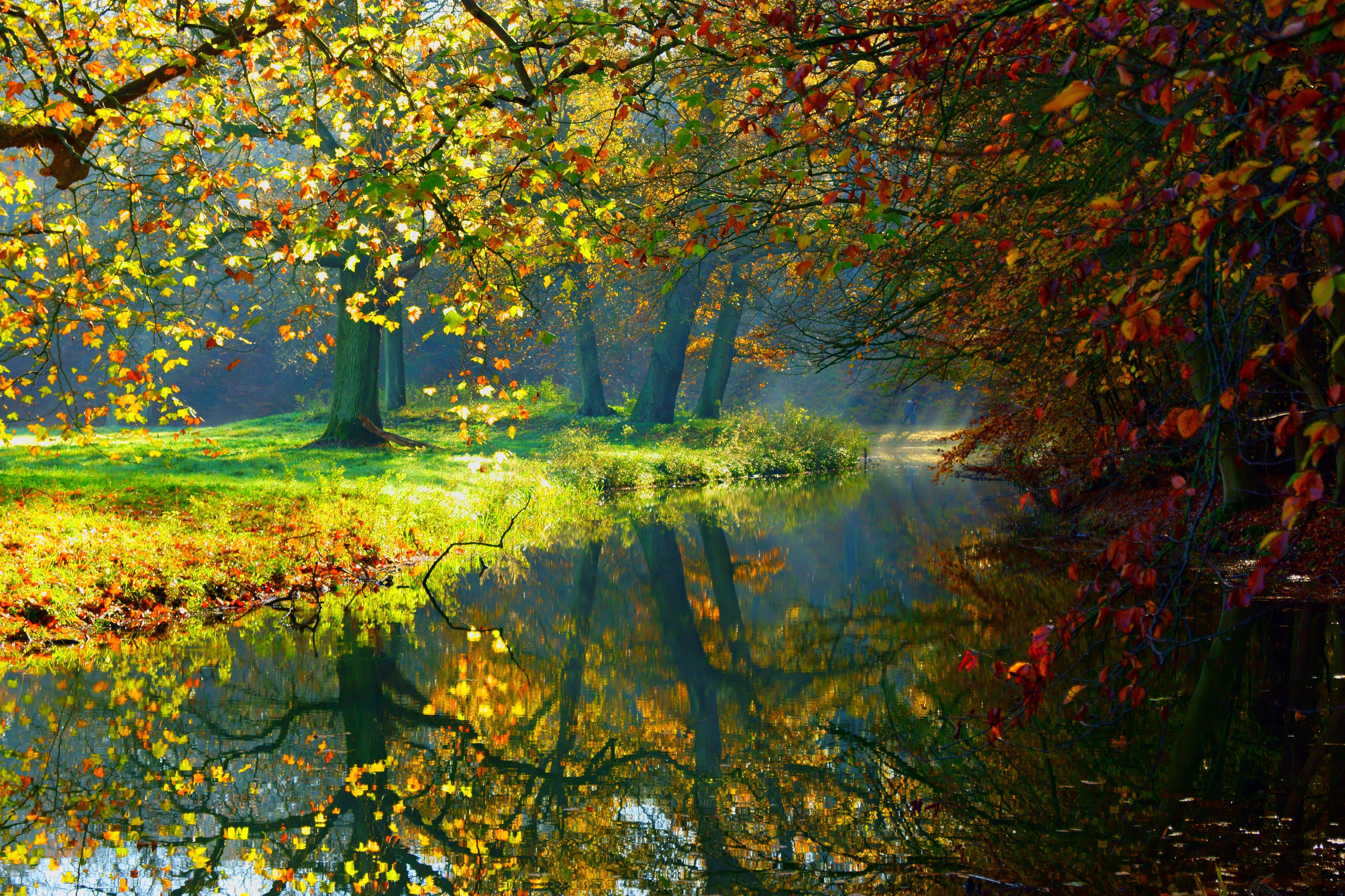 Free download wallpaper Reflection, Tree, Fall, Earth on your PC desktop