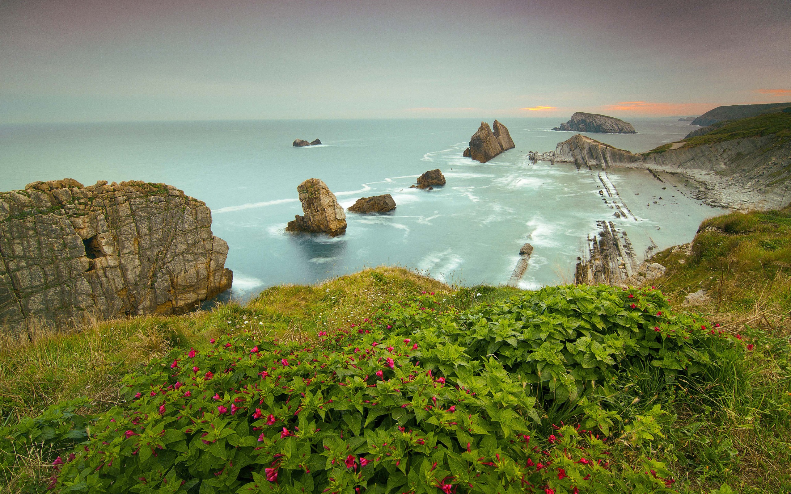 Laden Sie das Horizont, Blume, Küste, Ozean, Gebirge, Meer, Erde/natur-Bild kostenlos auf Ihren PC-Desktop herunter