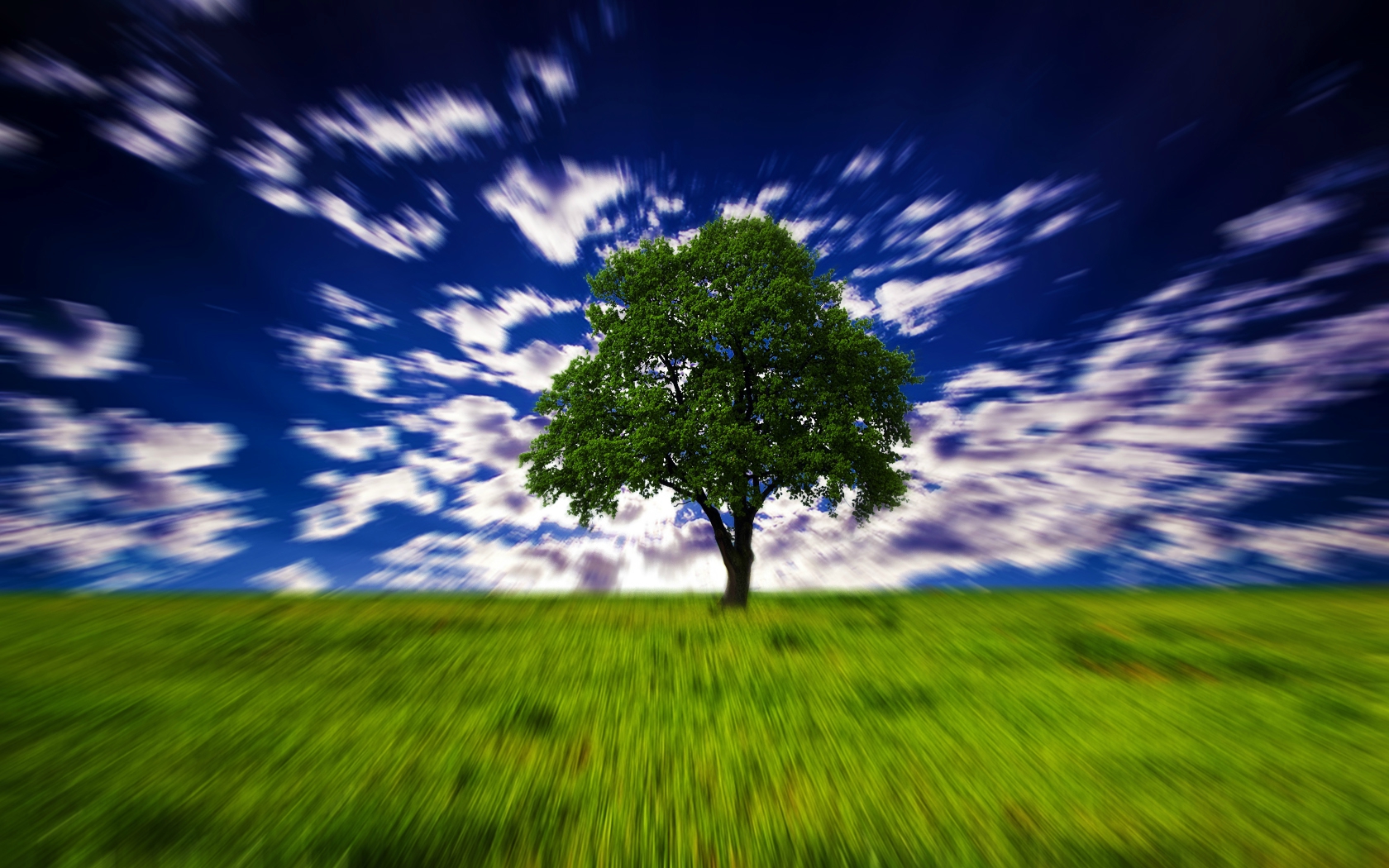 Download mobile wallpaper Abstract, Tree, Illusion, Mind Teaser, Lonely Tree for free.