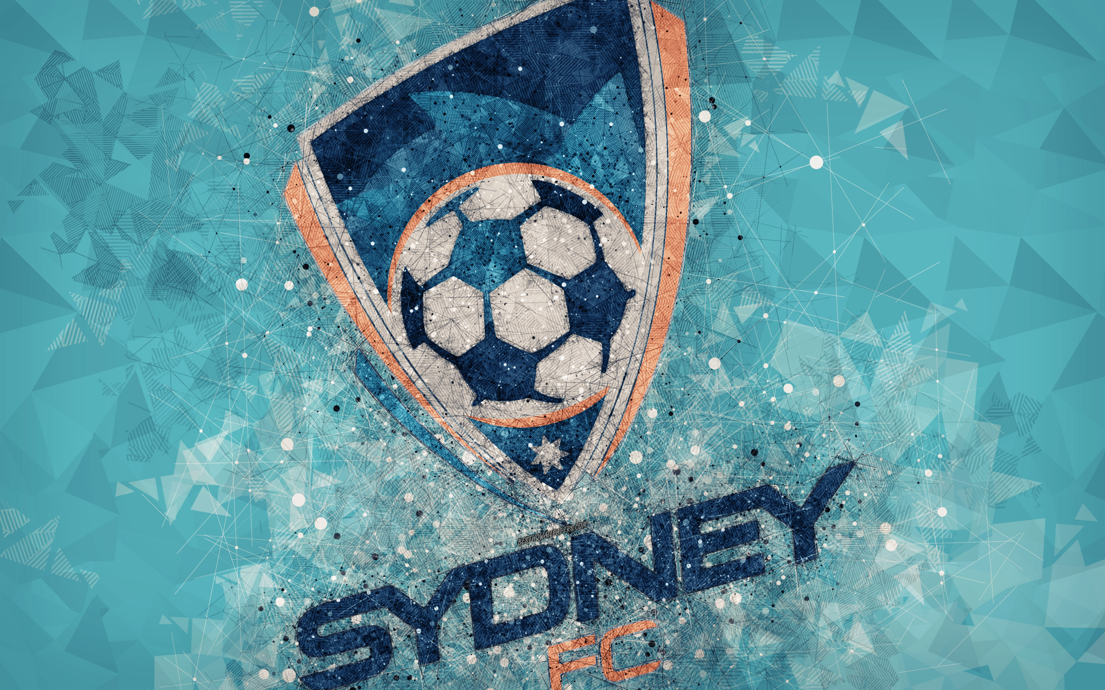 無料モバイル壁紙スポーツ, サッカー, ロゴ, 象徴, シドニーfcをダウンロードします。