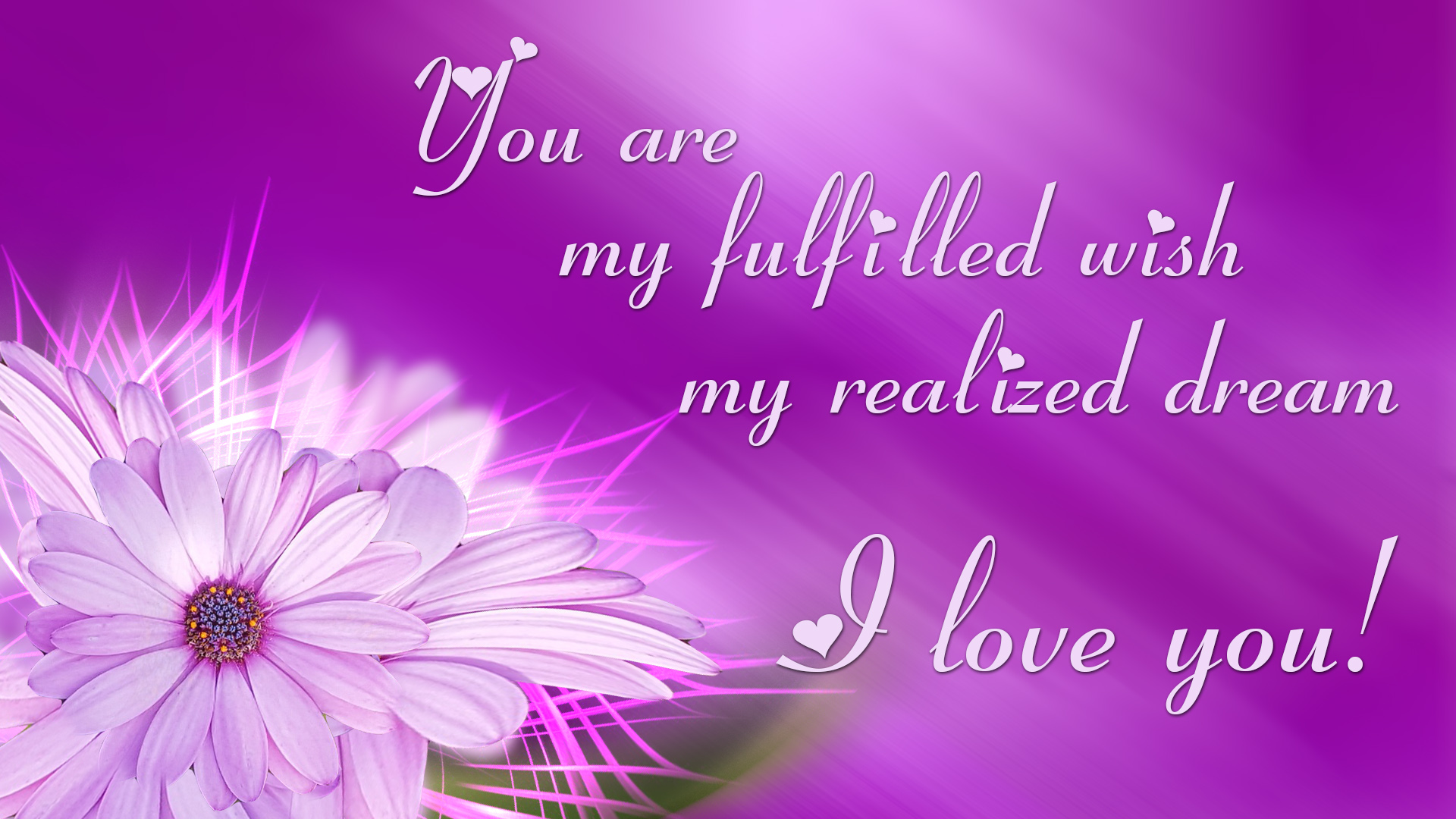 Free download wallpaper Valentine's Day, Love, Flower, Typography, Holiday, Gradient, Heart, Daisy on your PC desktop
