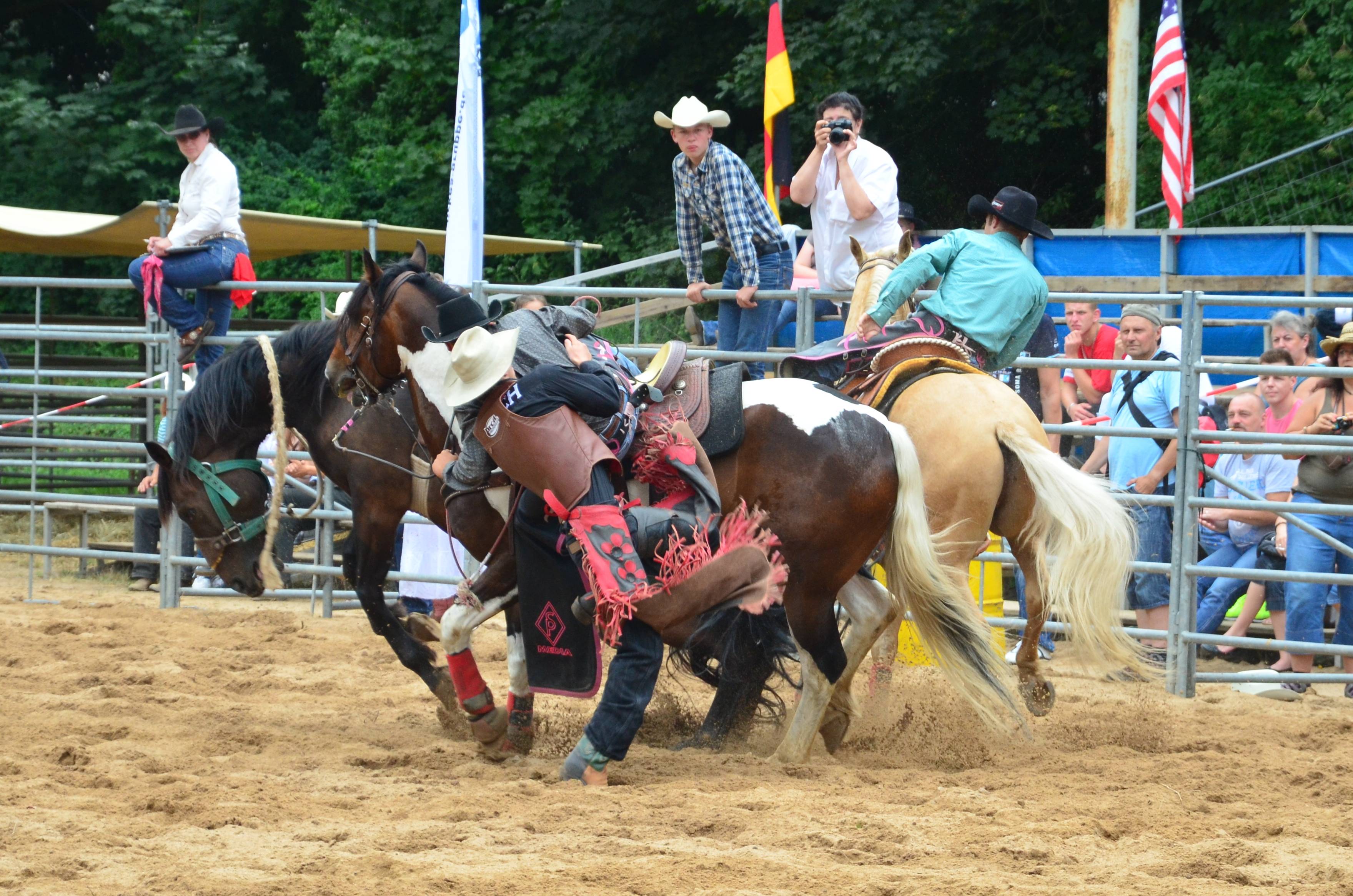 1501994 Bild herunterladen sport, rodeo, pferd - Hintergrundbilder und Bildschirmschoner kostenlos