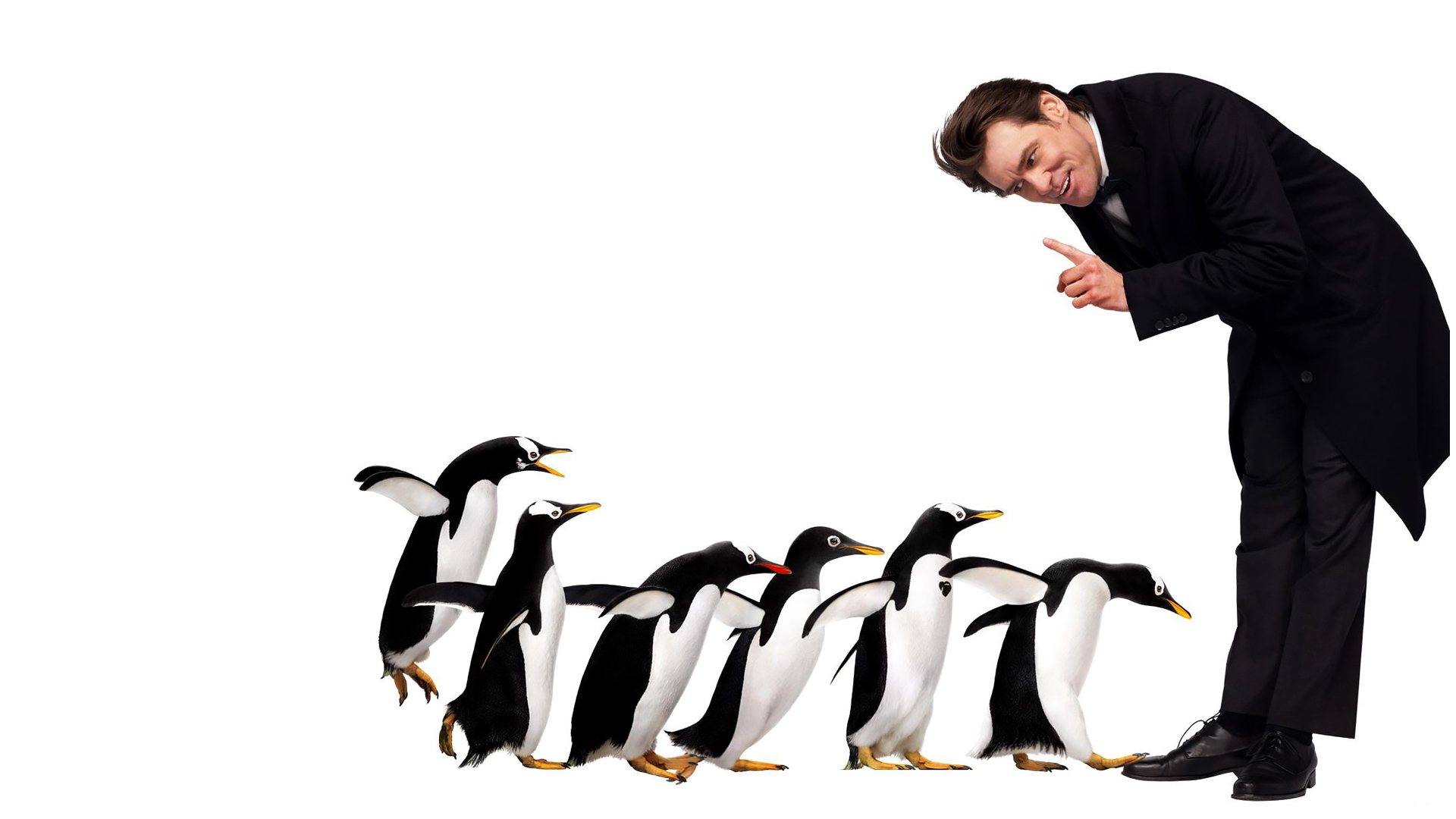 Handy-Wallpaper Filme, Jim Carrey, Mr Poppers Pinguine kostenlos herunterladen.