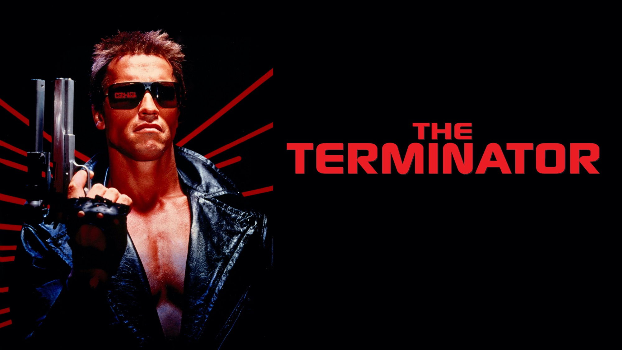 Free download wallpaper Arnold Schwarzenegger, Terminator, Movie, The Terminator on your PC desktop