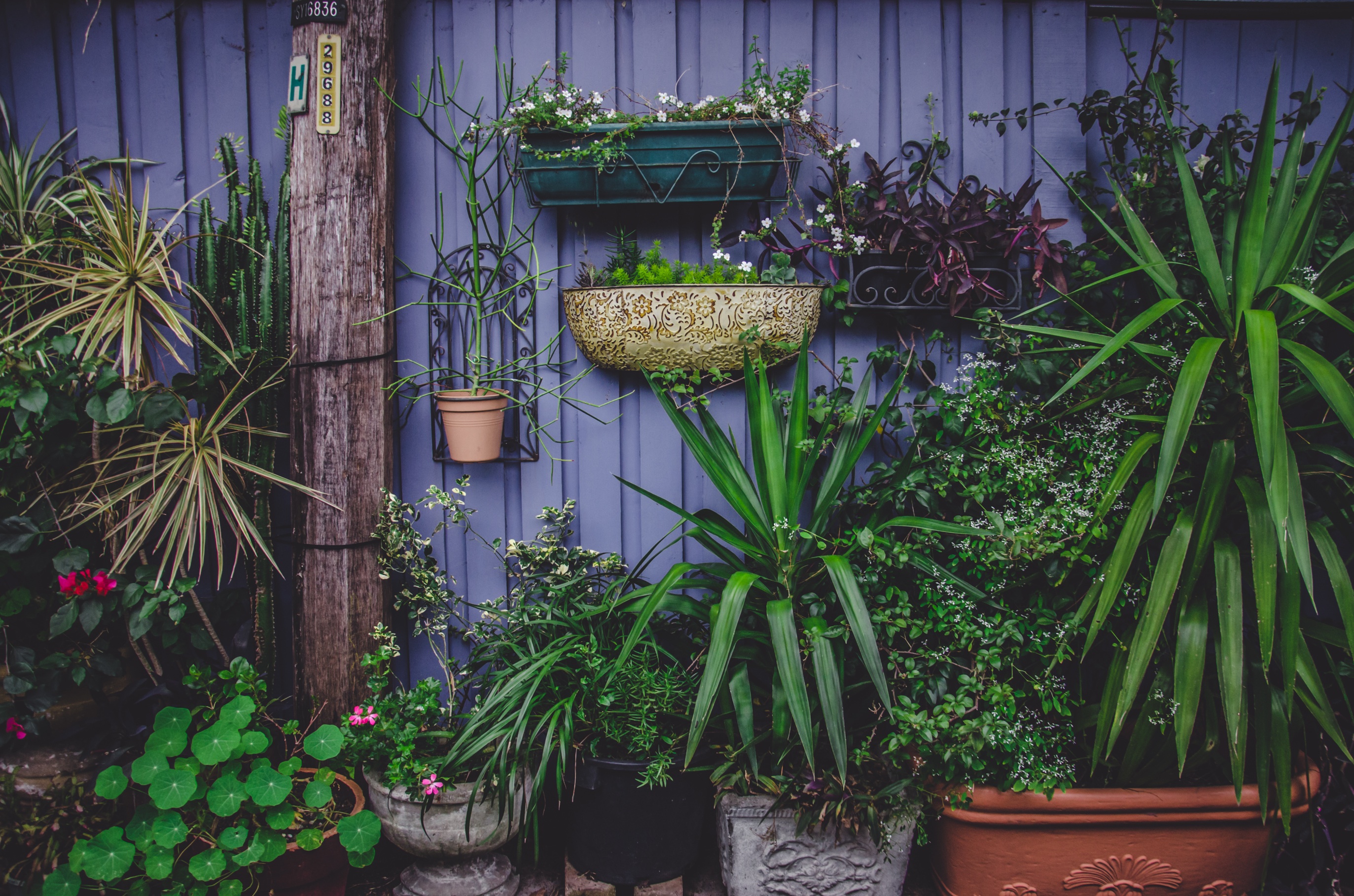 garden, pots, flowers, greenhouse