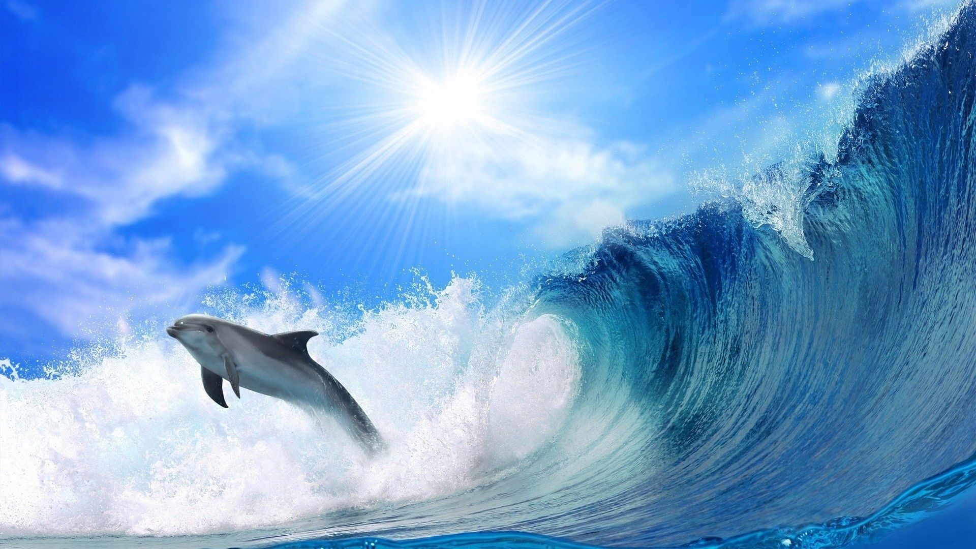 Download mobile wallpaper Bounce, Animals, Sunlight, Jump, Waves, Sea, Shine, Brilliance, Dolphin for free.
