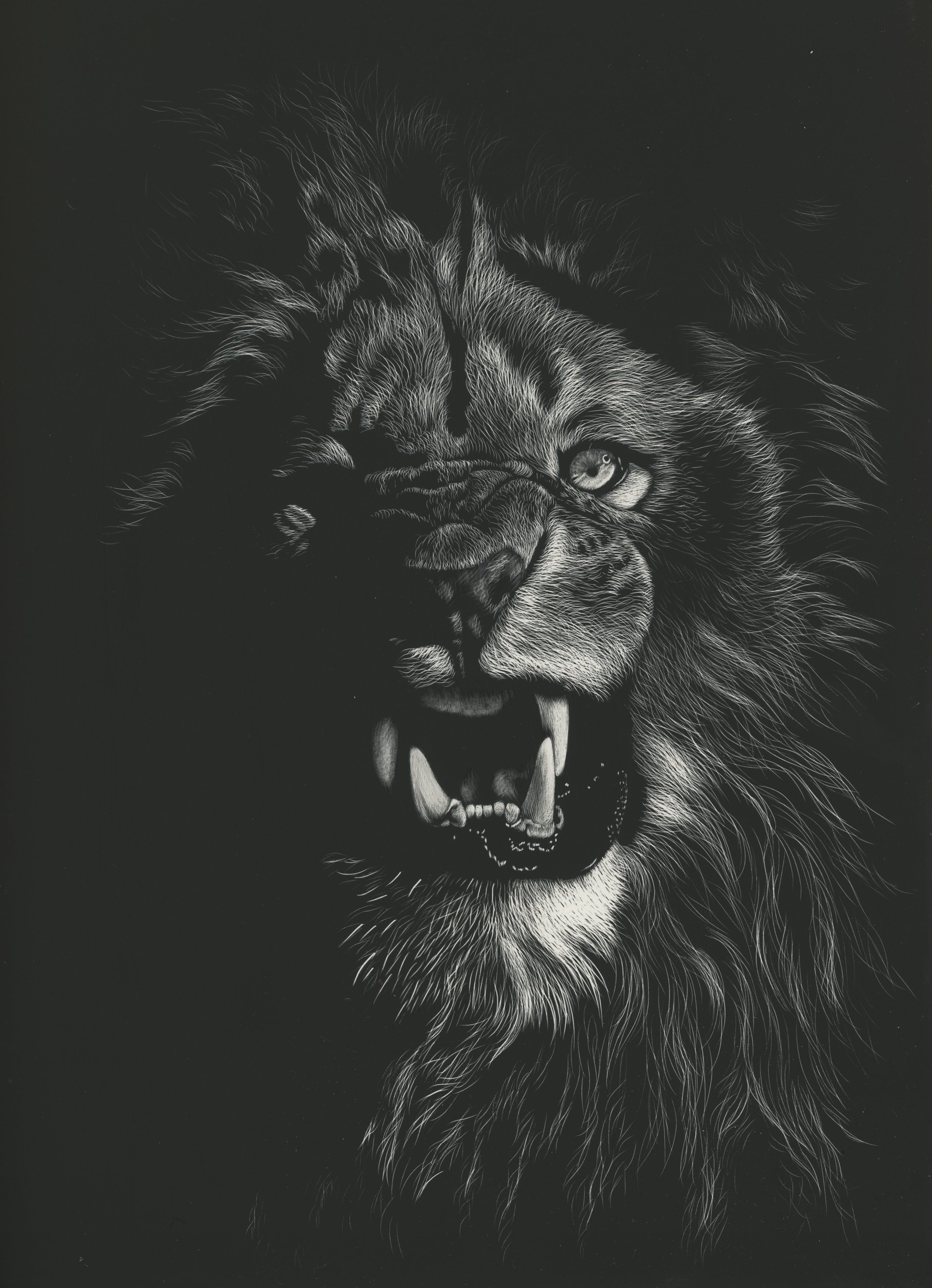lion, grin, drawing, bw, art, picture, chb