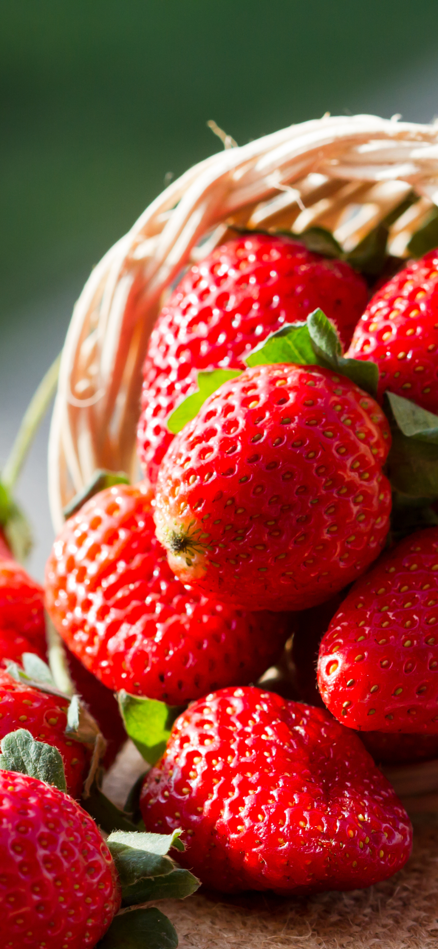 Laden Sie das Obst, Erdbeere, Beere, Frucht, Korb, Nahrungsmittel, Früchte-Bild kostenlos auf Ihren PC-Desktop herunter
