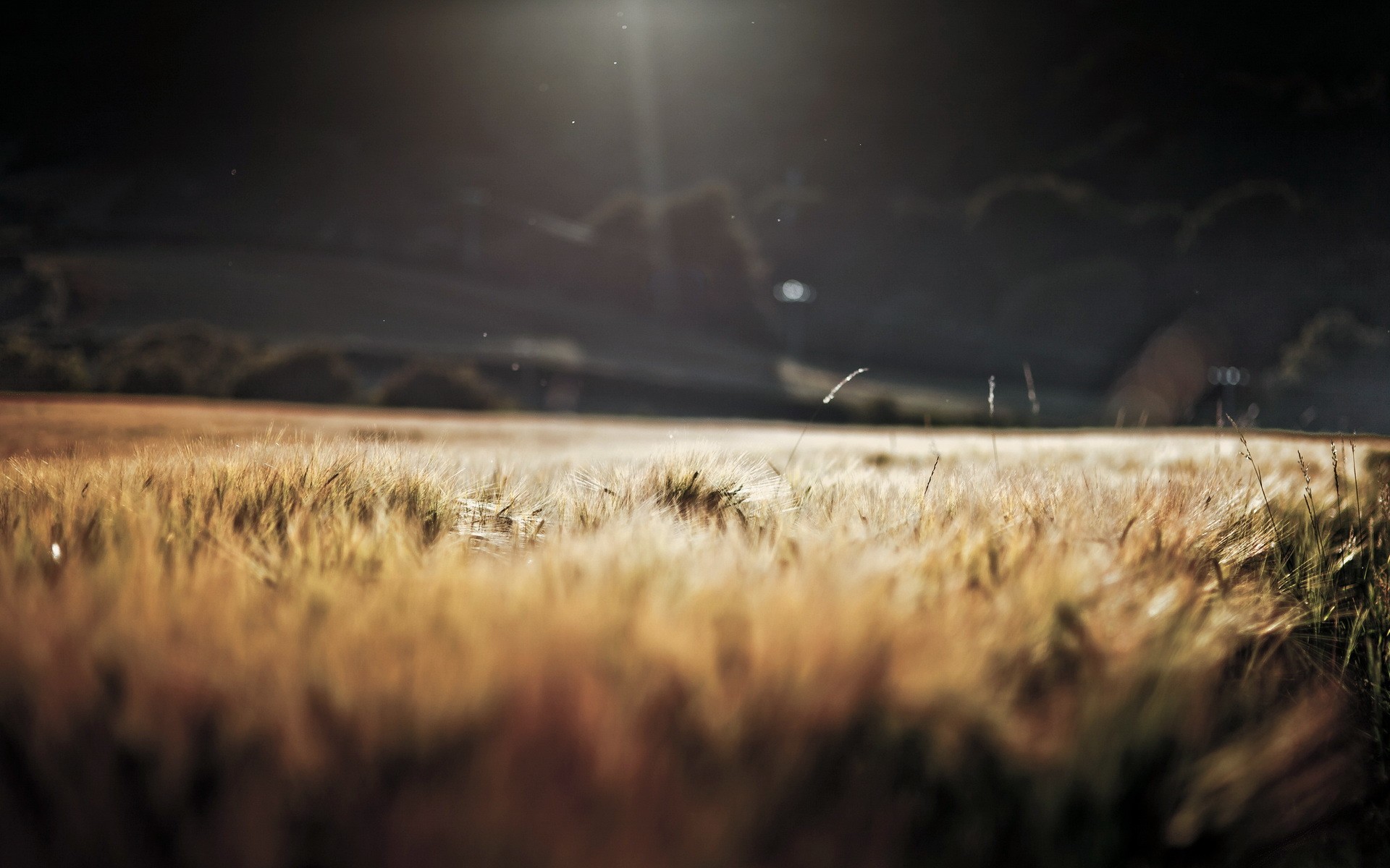 Download mobile wallpaper Earth, Field for free.