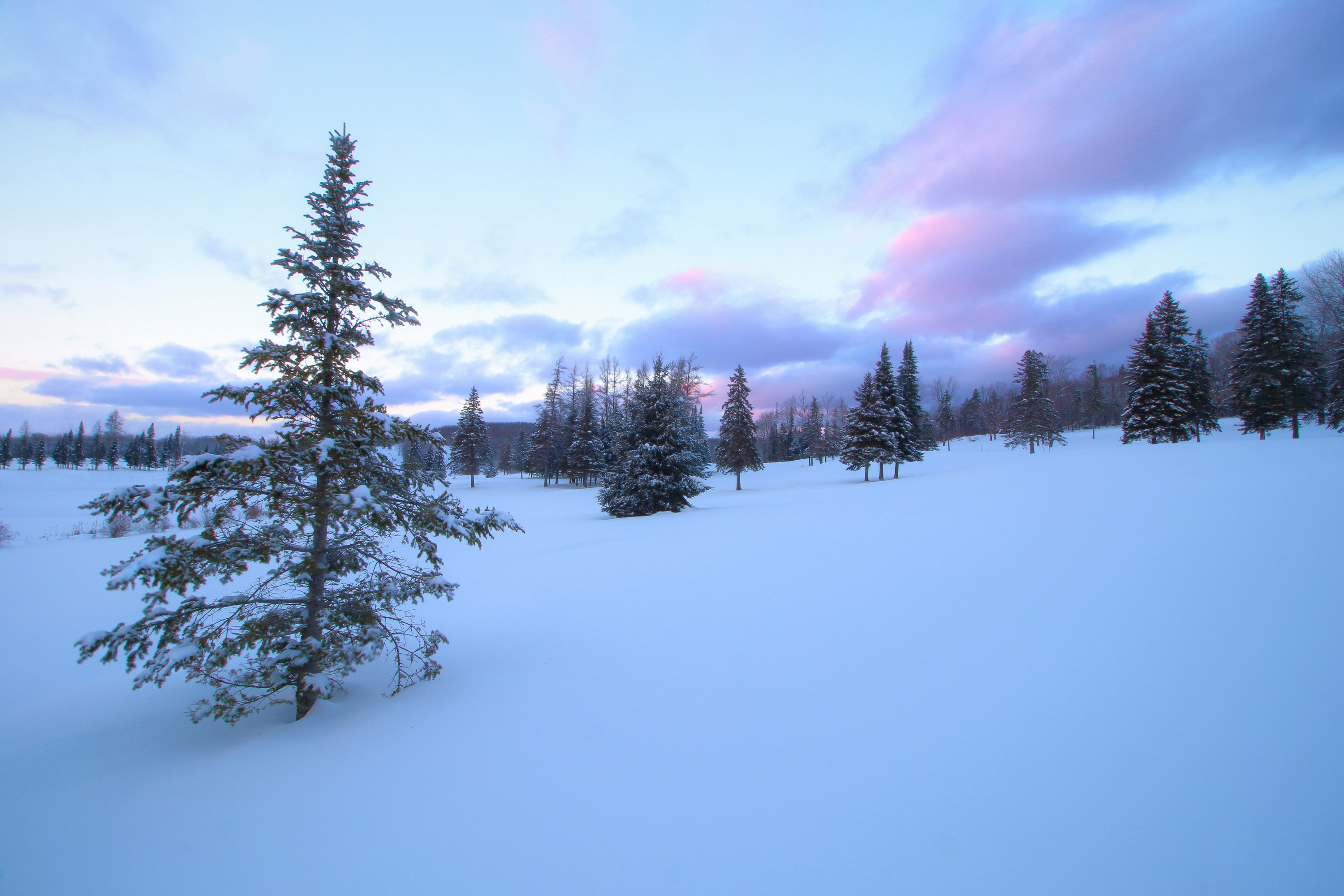 Descarga gratuita de fondo de pantalla para móvil de Paisaje, Invierno, Naturaleza, Cielo, Nieve, Árbol, Tierra/naturaleza.