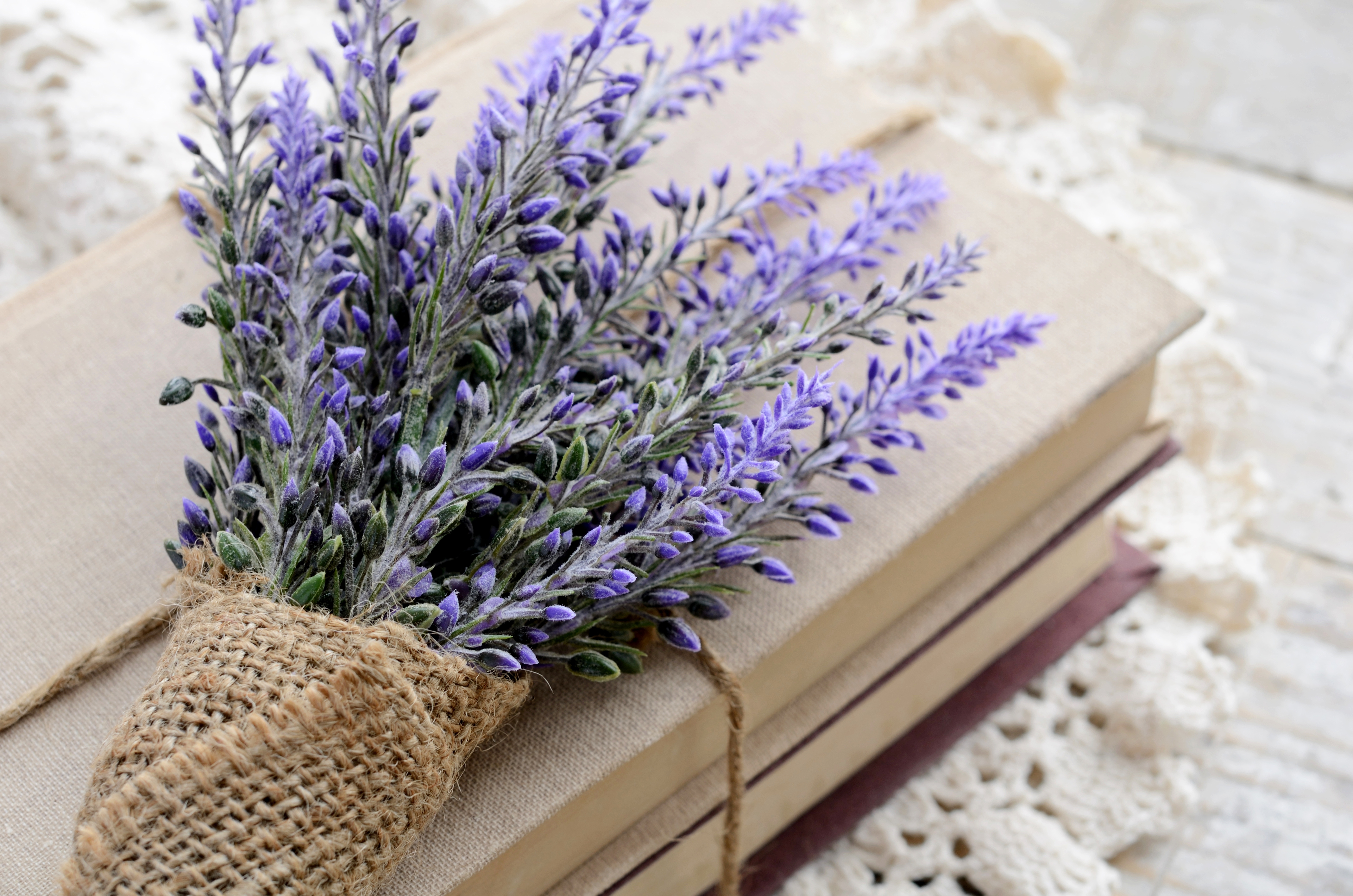 Handy-Wallpaper Blume, Buch, Lavendel, Fotografie, Stillleben kostenlos herunterladen.