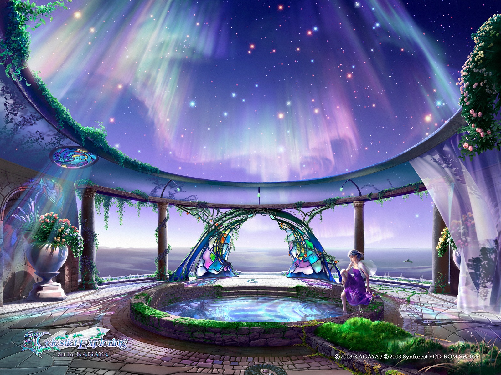 Free download wallpaper Fantasy, Sky, Stars, Aurora Borealis, Artistic on your PC desktop