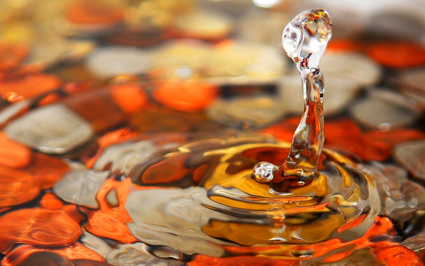 Free download wallpaper Photography, Water Drop on your PC desktop