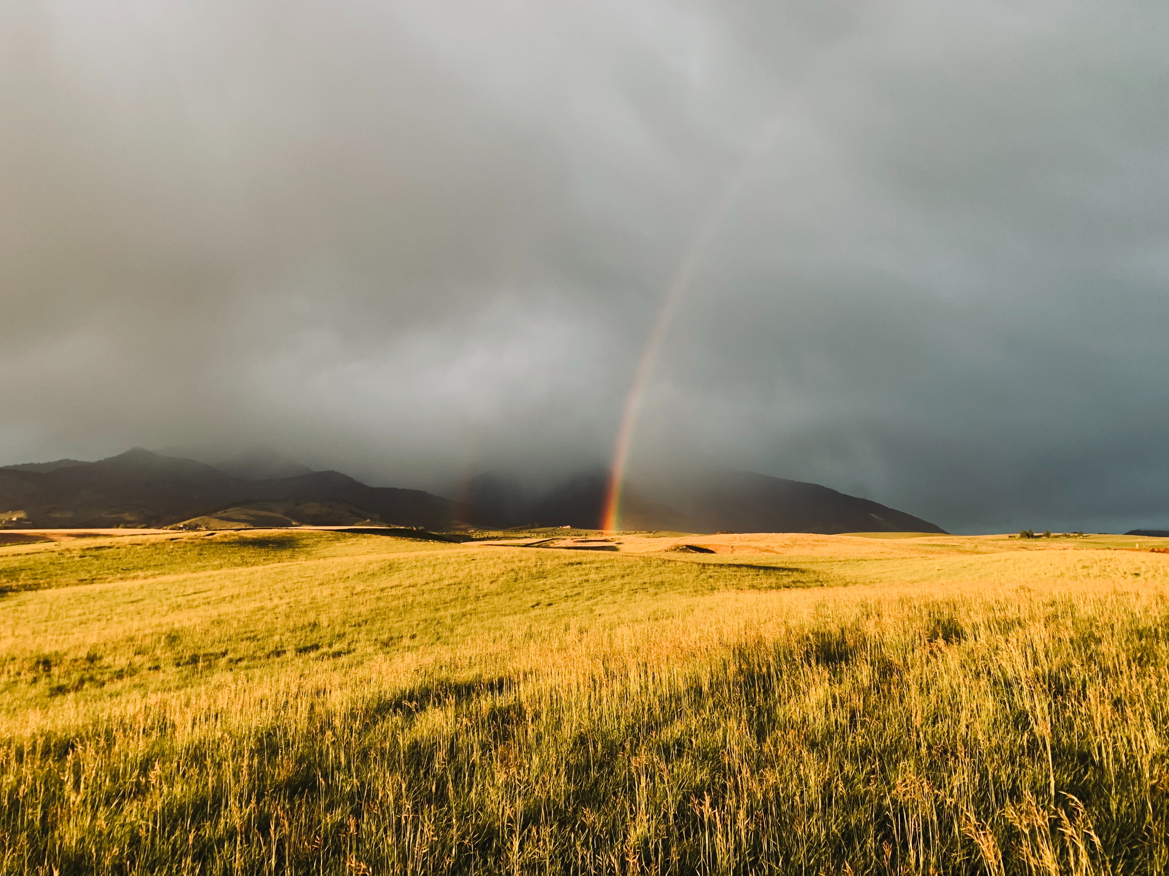 Free download wallpaper Nature, Grass, Rainbow, Field, Fog on your PC desktop