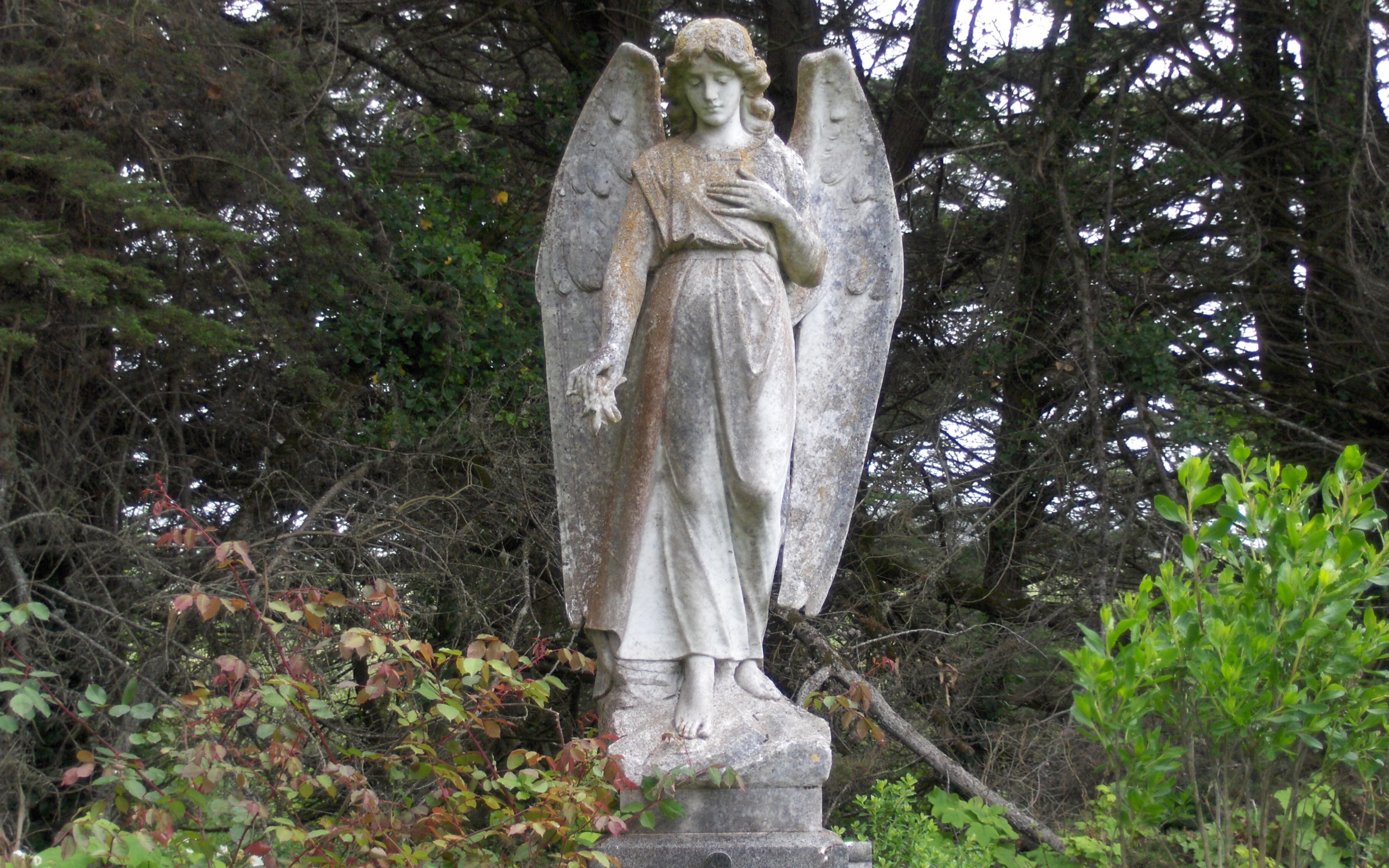 Популярные заставки и фоны Статуя Ангела на компьютер