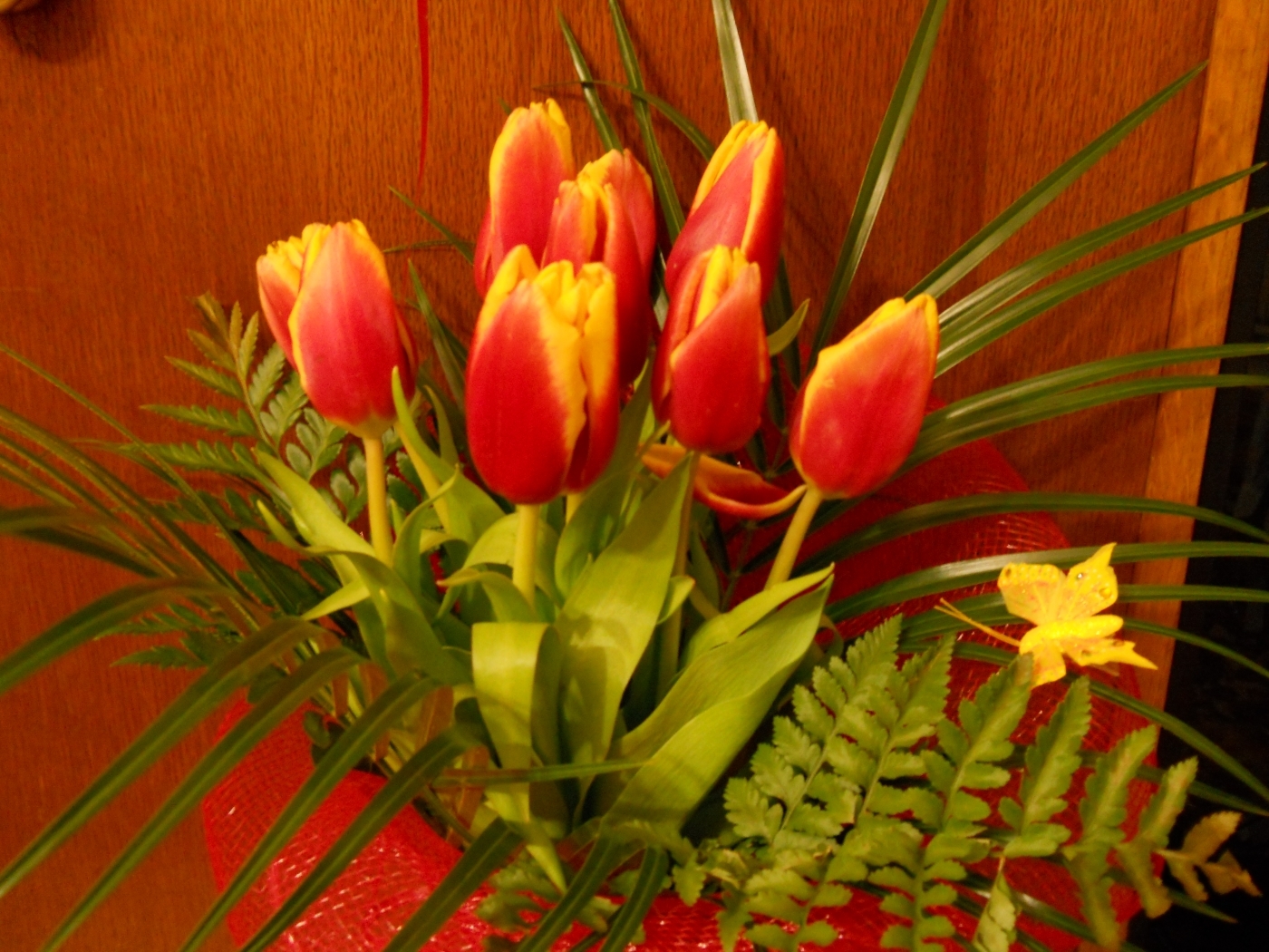 Descarga gratuita de fondo de pantalla para móvil de Flores, Plantas, Tulipanes.
