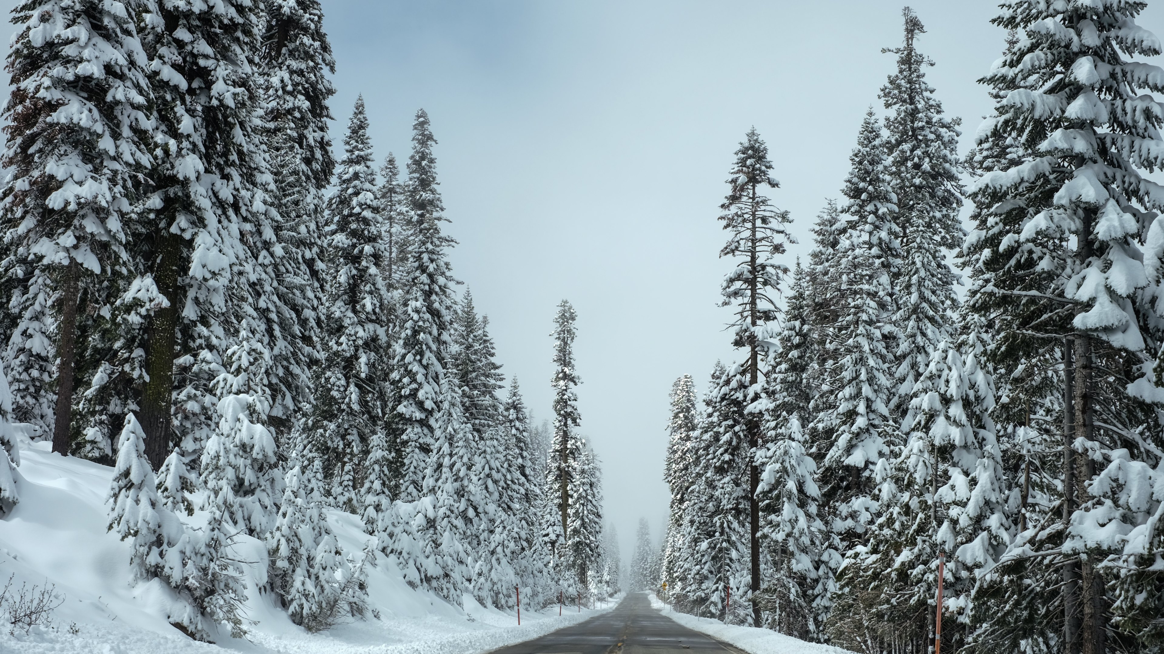 Download mobile wallpaper Winter, Snow, Road, Tree, Earth, Man Made for free.