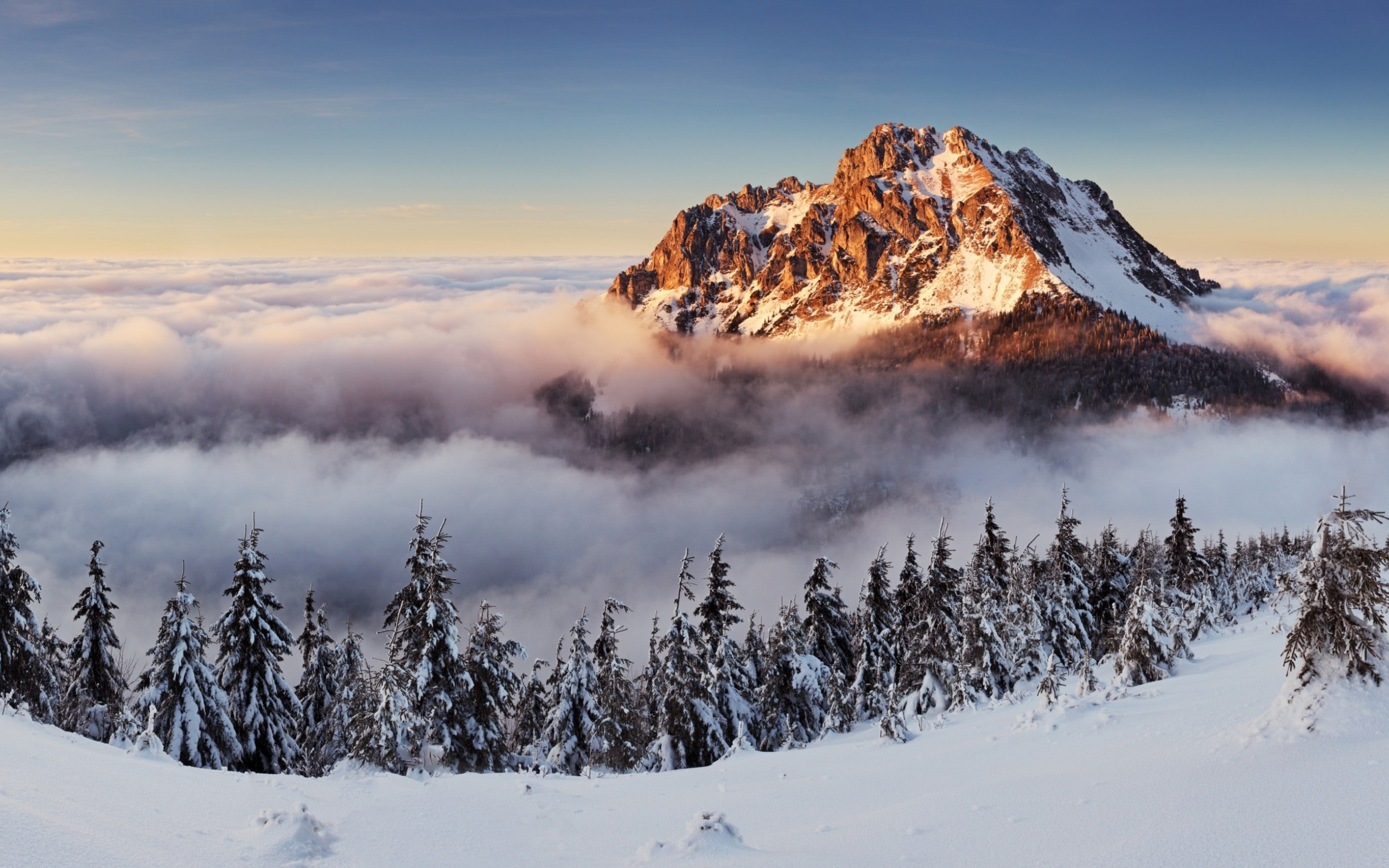 Handy-Wallpaper Berge, Winter, Wald, Gebirge, Erde/natur, Wolke kostenlos herunterladen.