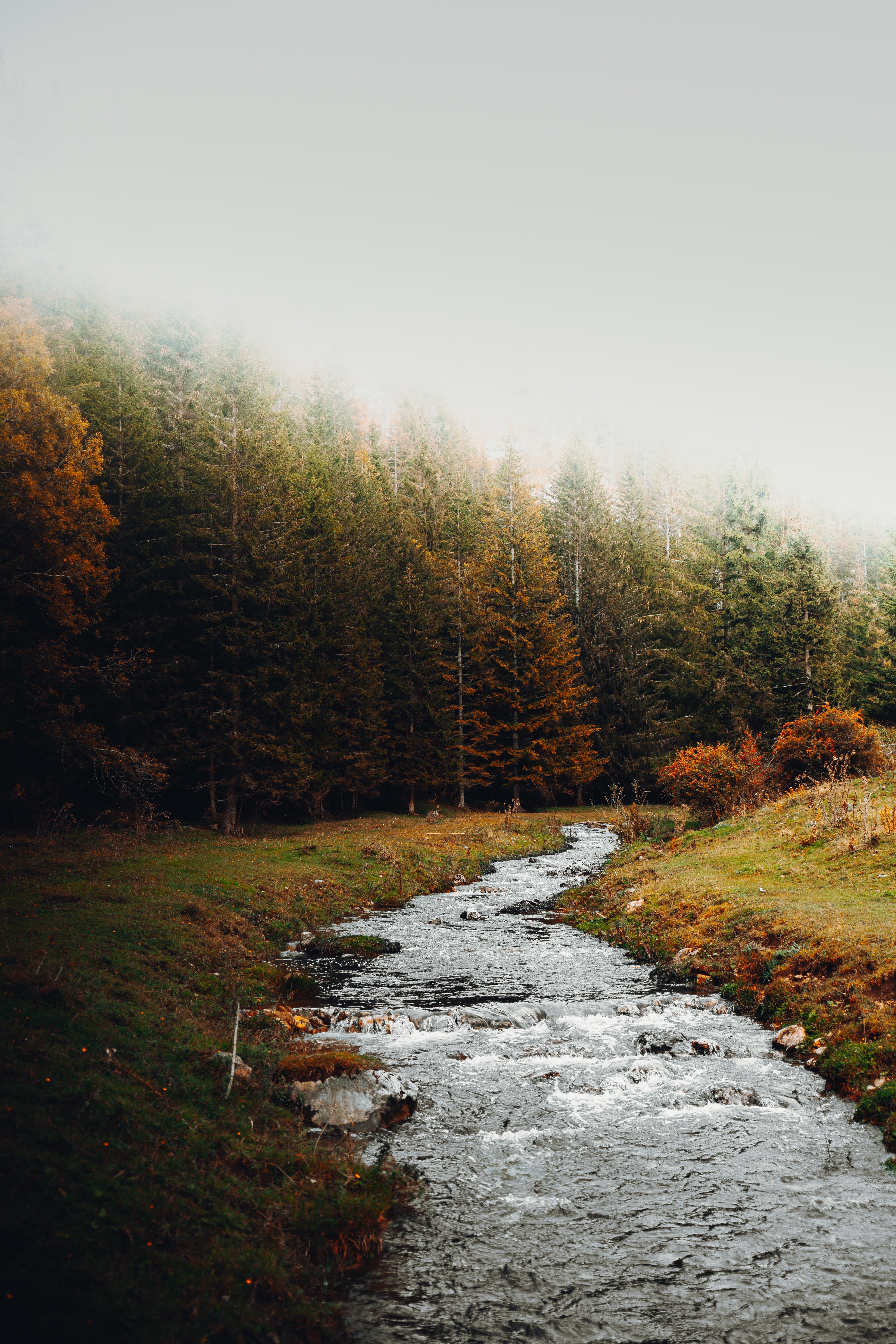 Download mobile wallpaper Brook, Creek, Trees, Nature, Forest, Autumn, Landscape for free.