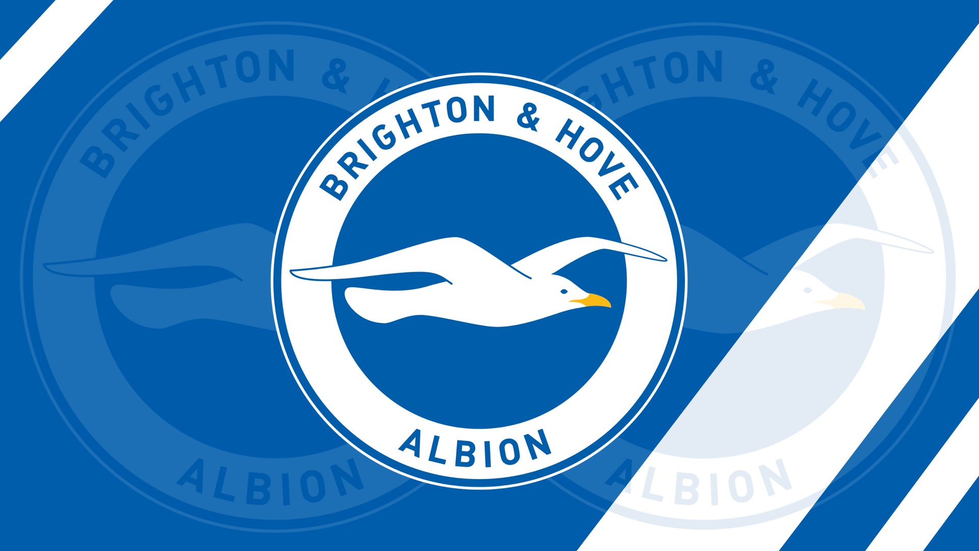 Handy-Wallpaper Sport, Fußball, Logo, Emblem, Brighton & Hove Albion Fc kostenlos herunterladen.