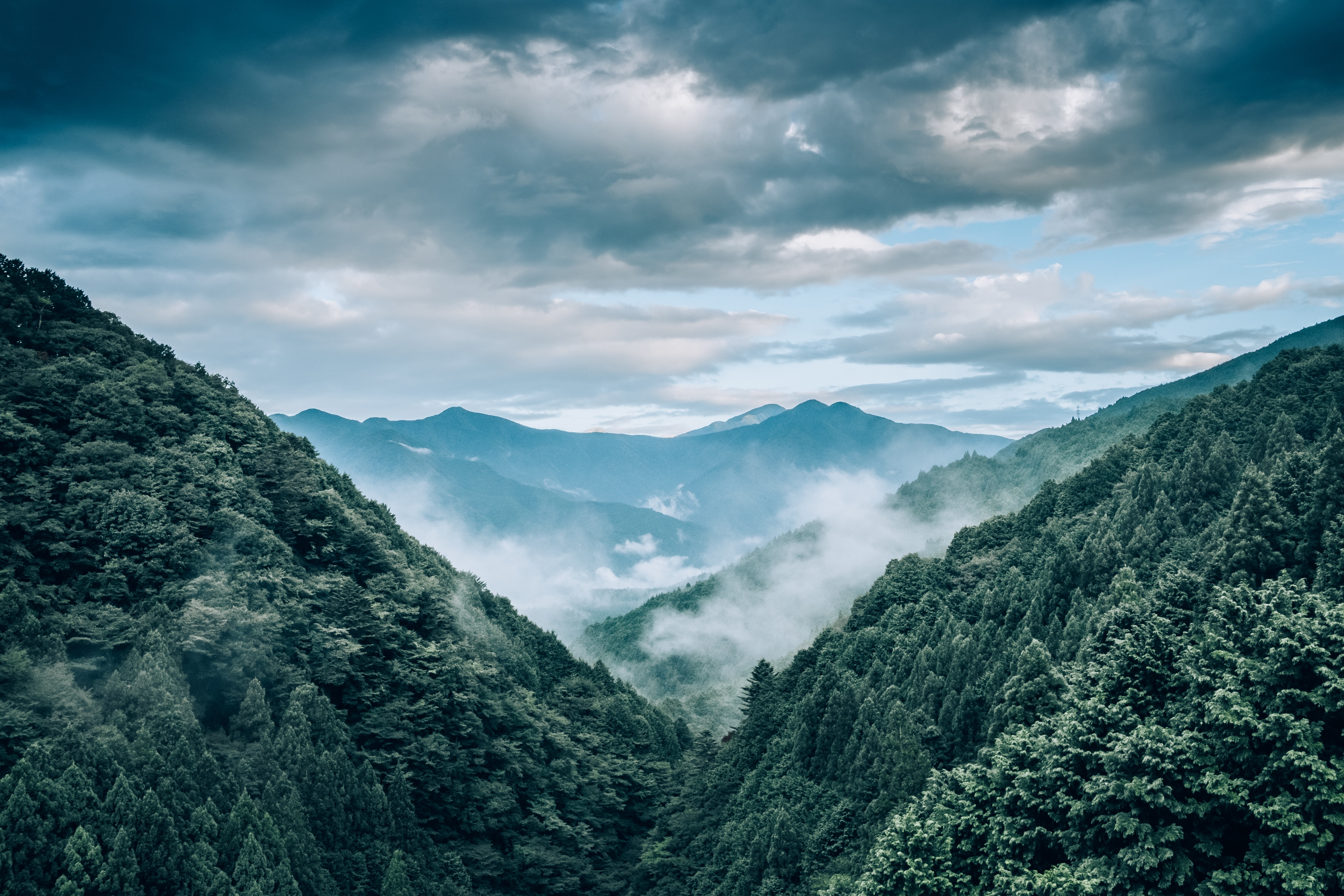 無料モバイル壁紙上から見る, 霧, 自然, 木, 山脈, 風景をダウンロードします。