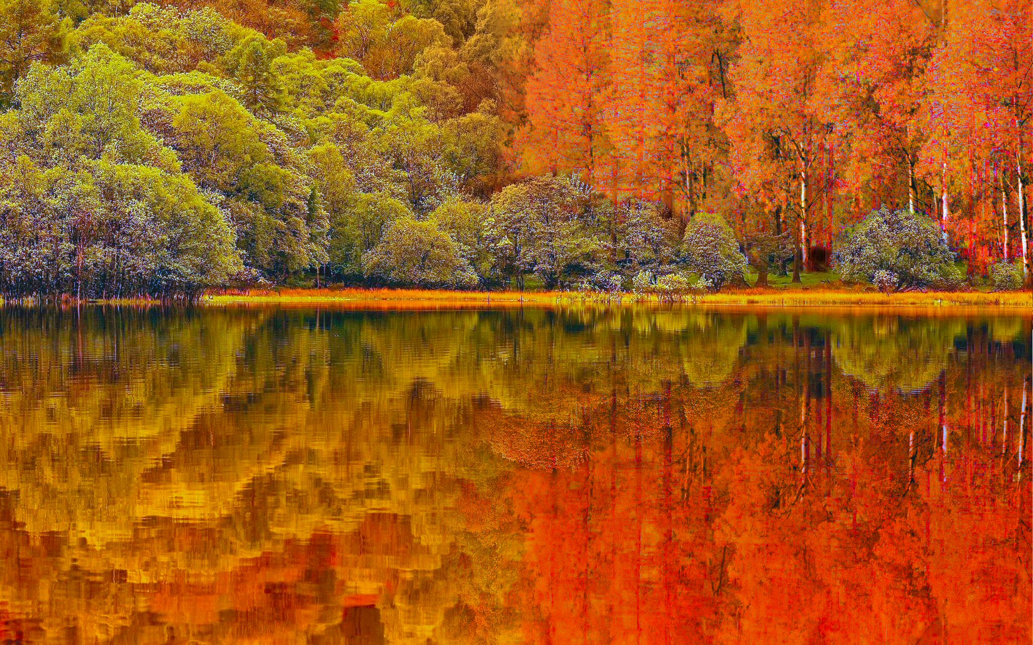 PCデスクトップに自然, 秋, 湖, 反射, 森, 地球, カラフル画像を無料でダウンロード