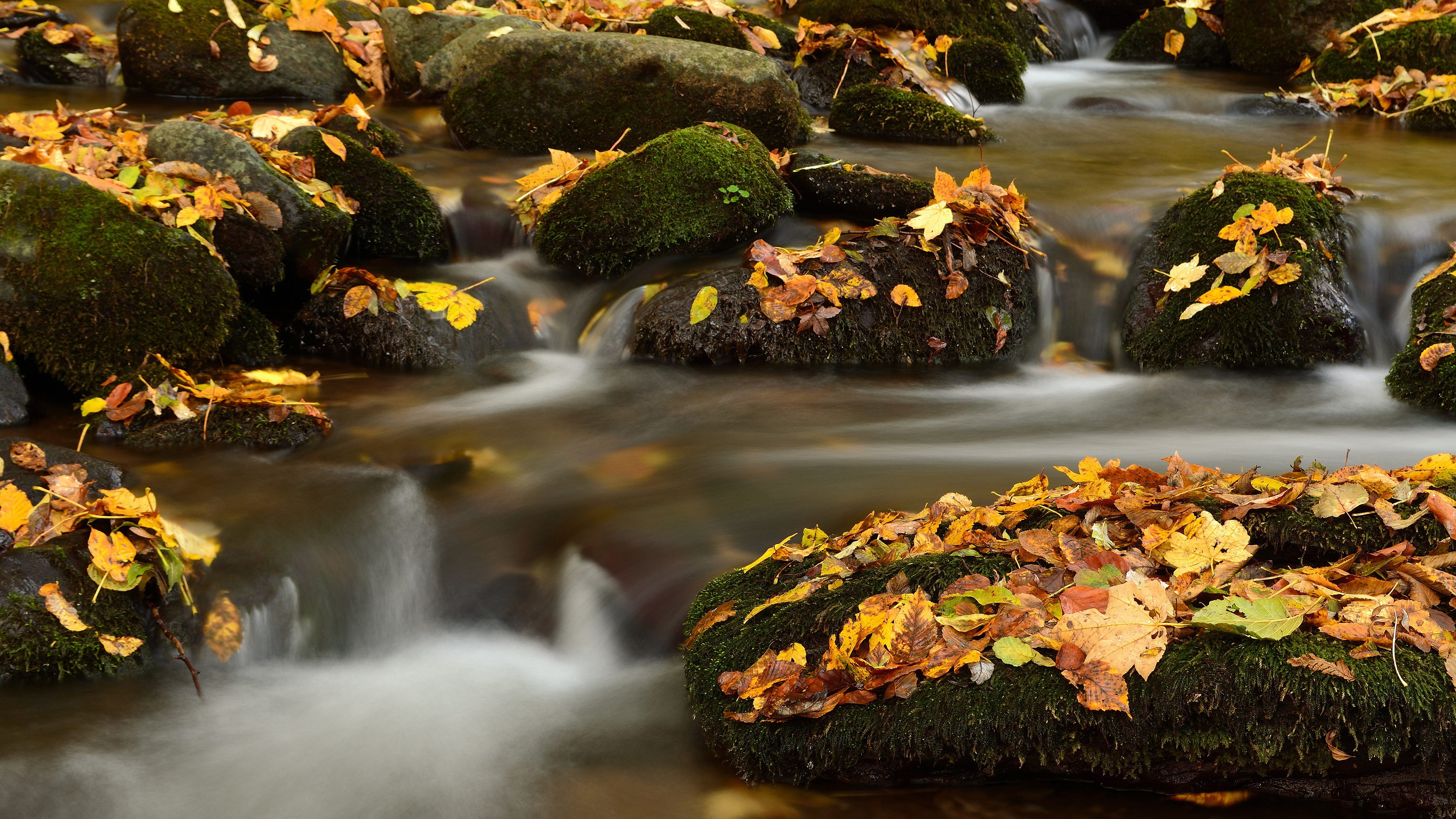 Скачать обои бесплатно Осень, Листва, Камень, Ручей, Земля/природа картинка на рабочий стол ПК
