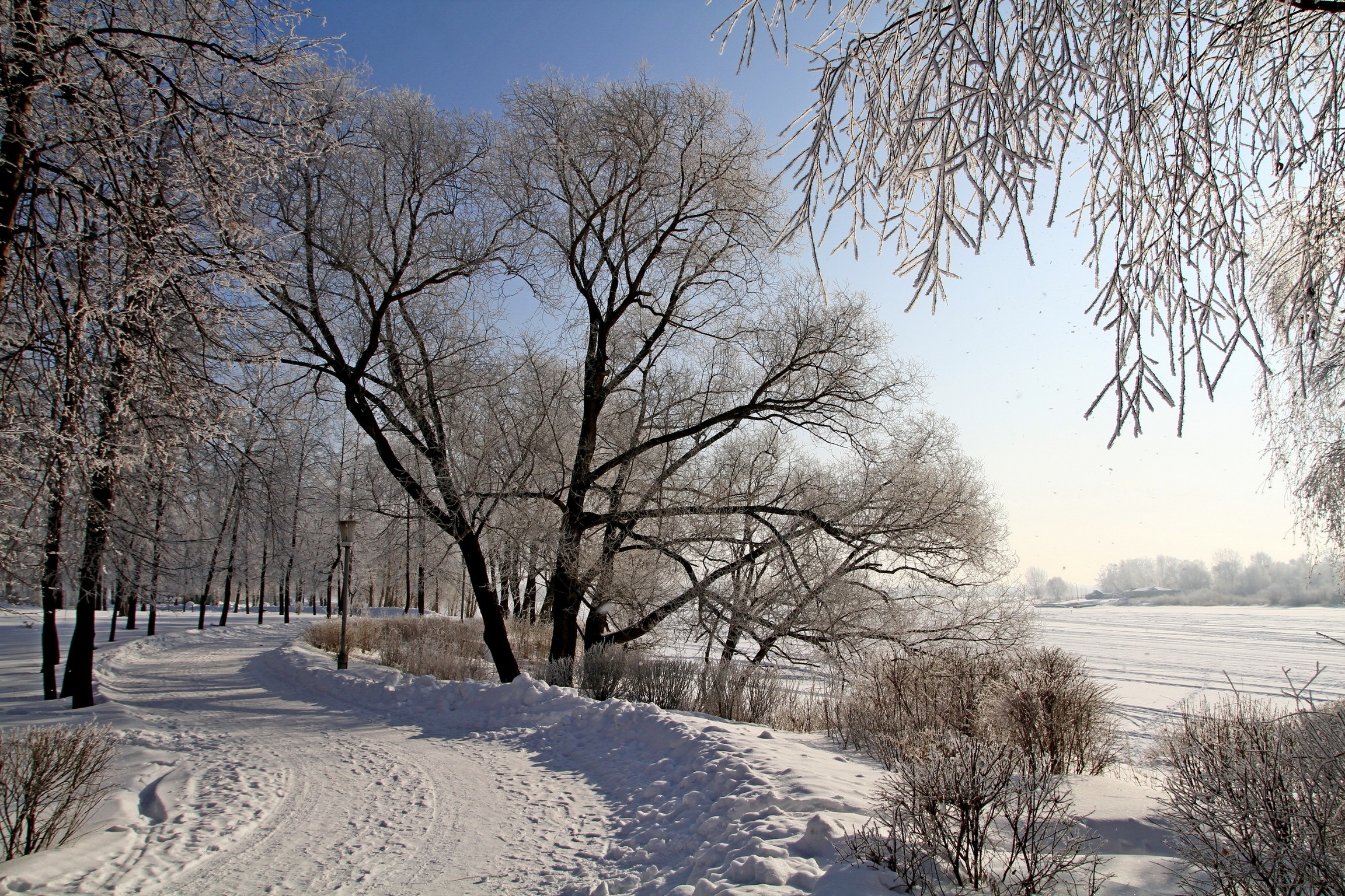 無料モバイル壁紙冬, 自然, 木, 雪, 道, 写真撮影をダウンロードします。