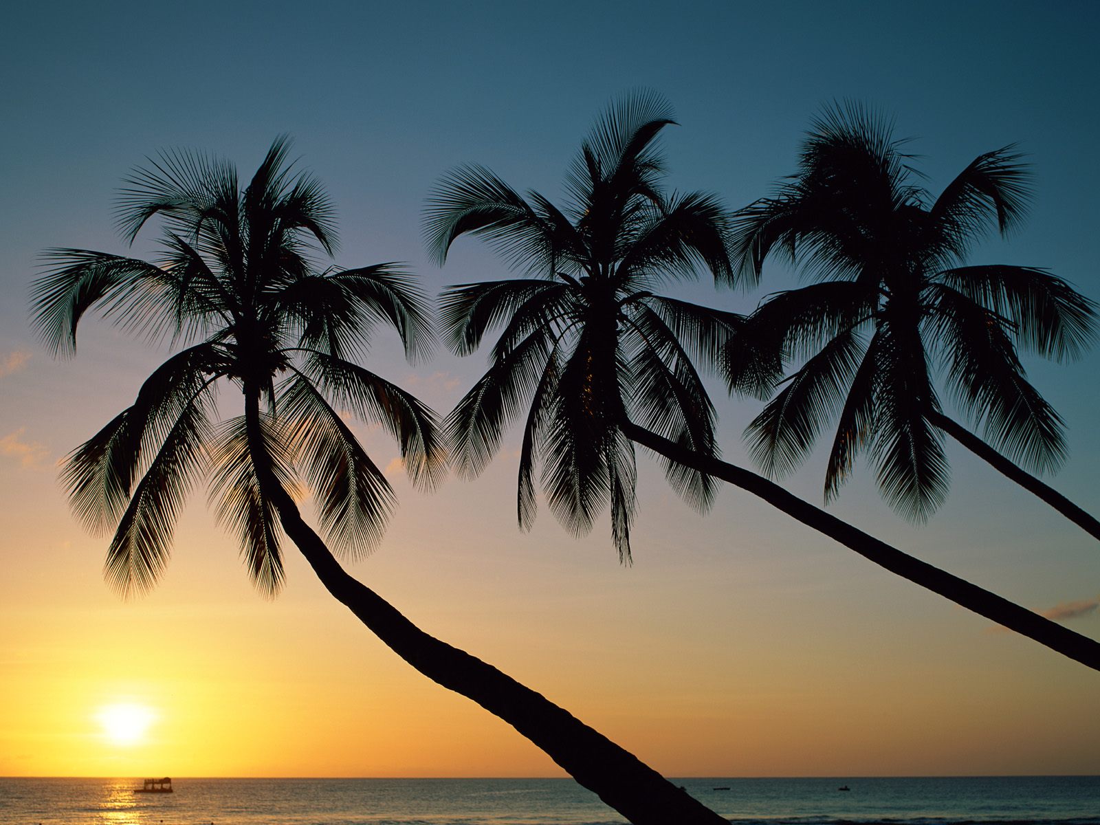 Téléchargez gratuitement l'image Coucher De Soleil, Terre/nature sur le bureau de votre PC