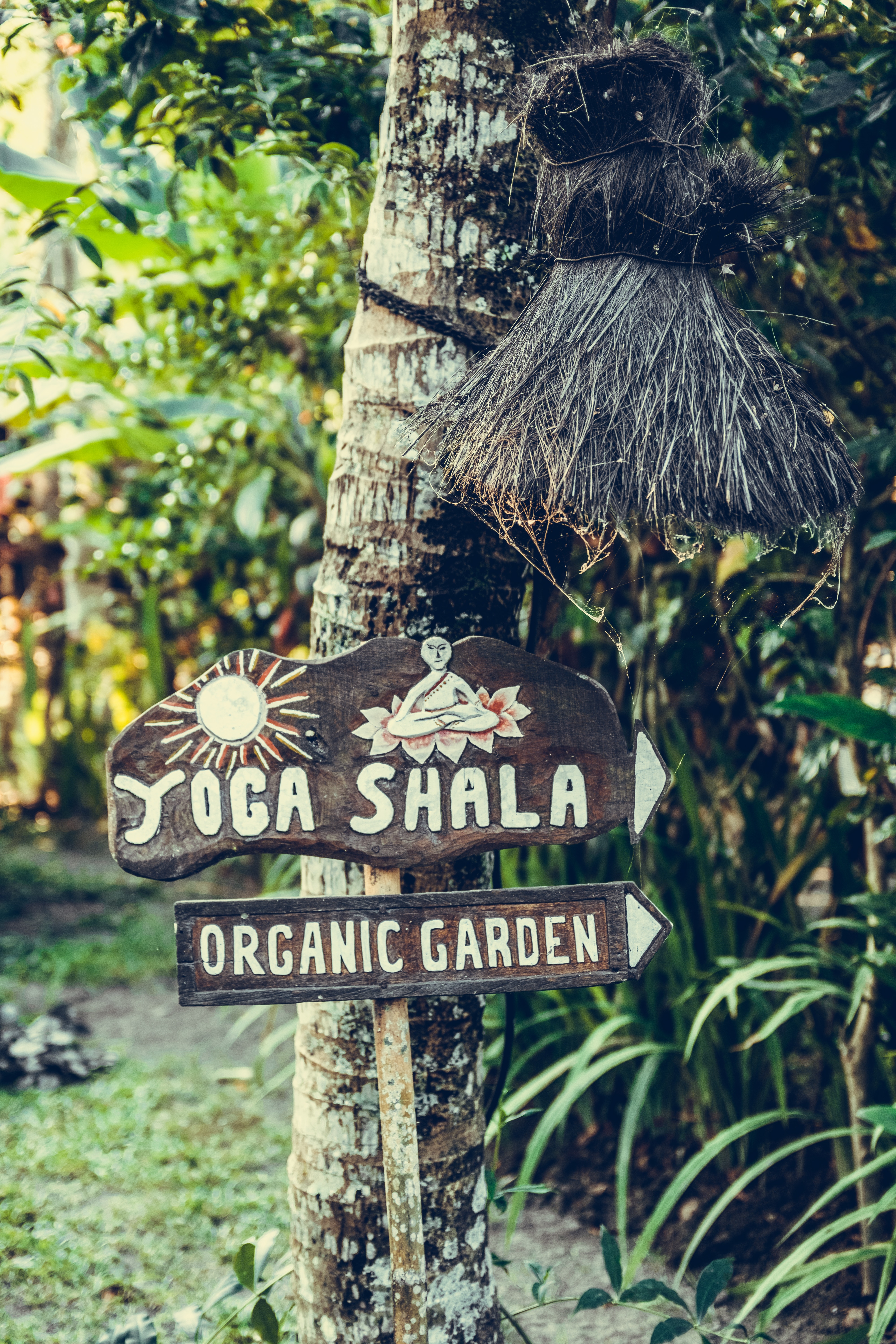 yoga, miscellanea, miscellaneous, wood, tree, garden, sign, signboard, organic, organic fertilizer