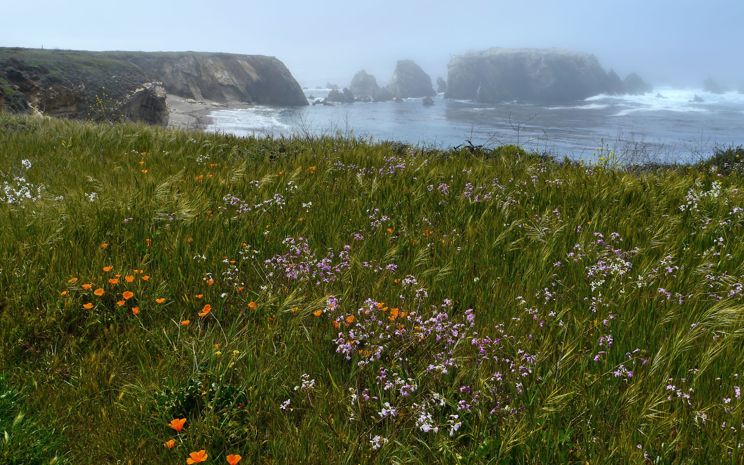 Descarga gratis la imagen Tierra/naturaleza, Paisaje en el escritorio de tu PC