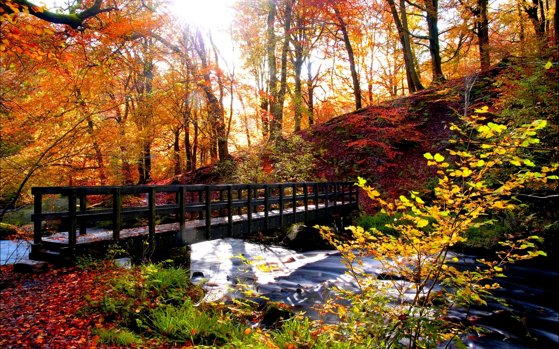 Handy-Wallpaper Natur, Herbst, Wald, Baum, Fluss, Brücke, Strom, Szene, Jahreszeit, Brücken, Menschengemacht kostenlos herunterladen.