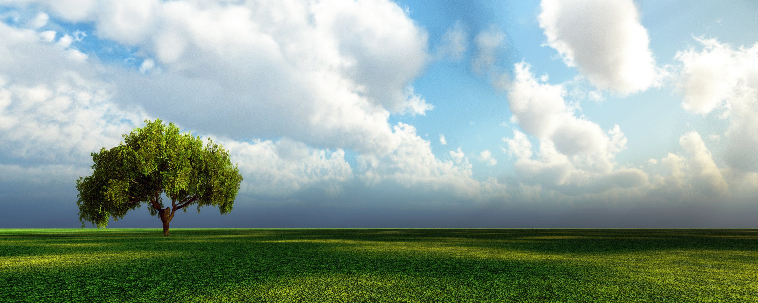 Free download wallpaper Trees, Tree, Earth, Cloud on your PC desktop