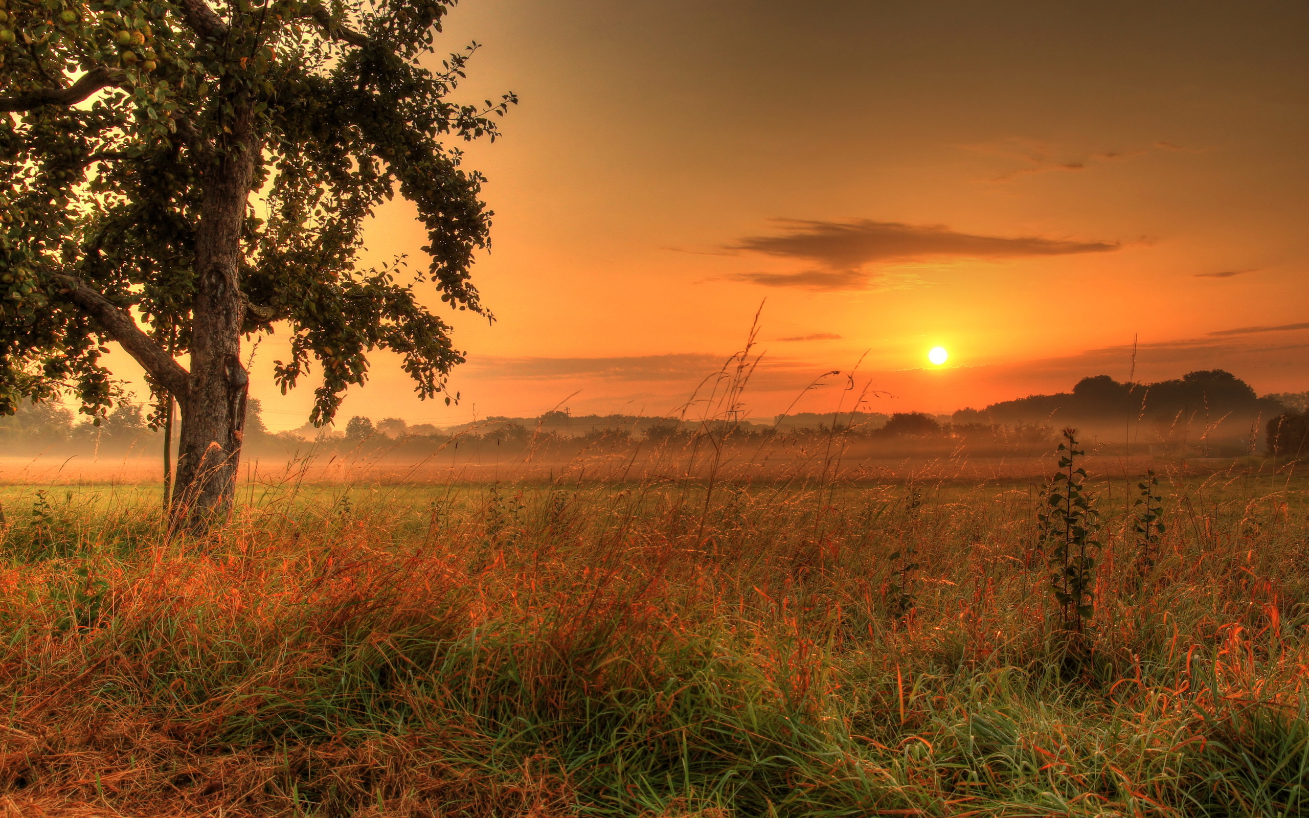 Descarga gratuita de fondo de pantalla para móvil de Atardecer, Tierra/naturaleza.