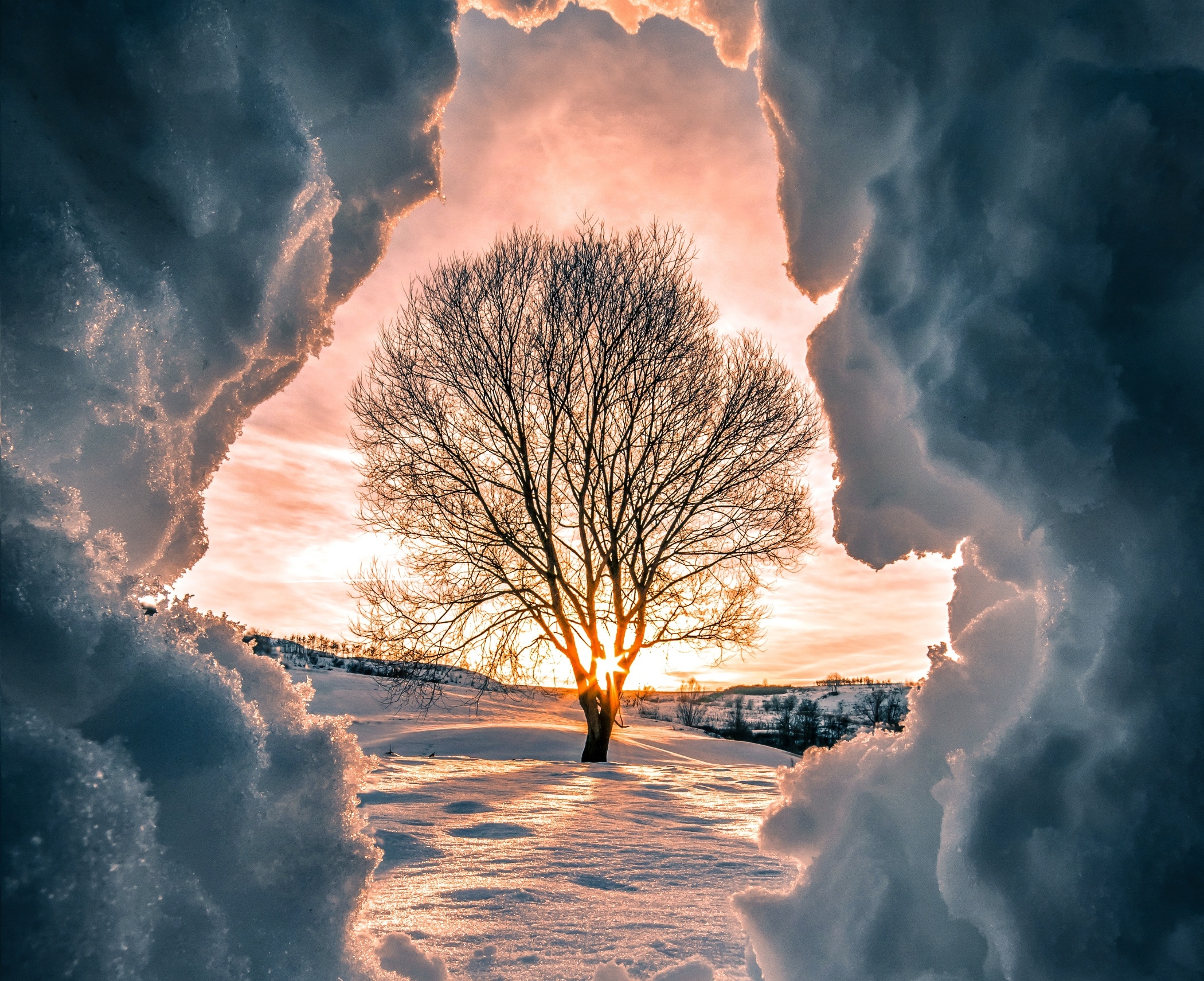Скачать картинку Зима, Природа, Деревья, Снег, Дерево, Земля/природа в телефон бесплатно.