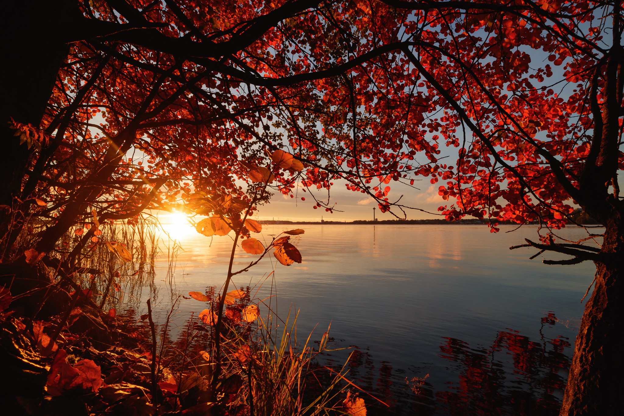 Скачать обои бесплатно Природа, Осень, Озеро, Восход, Земля/природа картинка на рабочий стол ПК