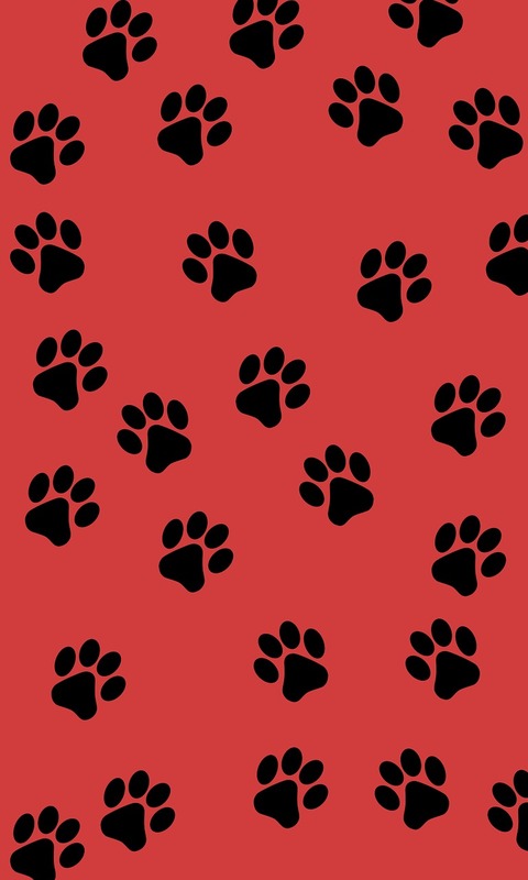 HD wallpaper animal, artistic, red, paw