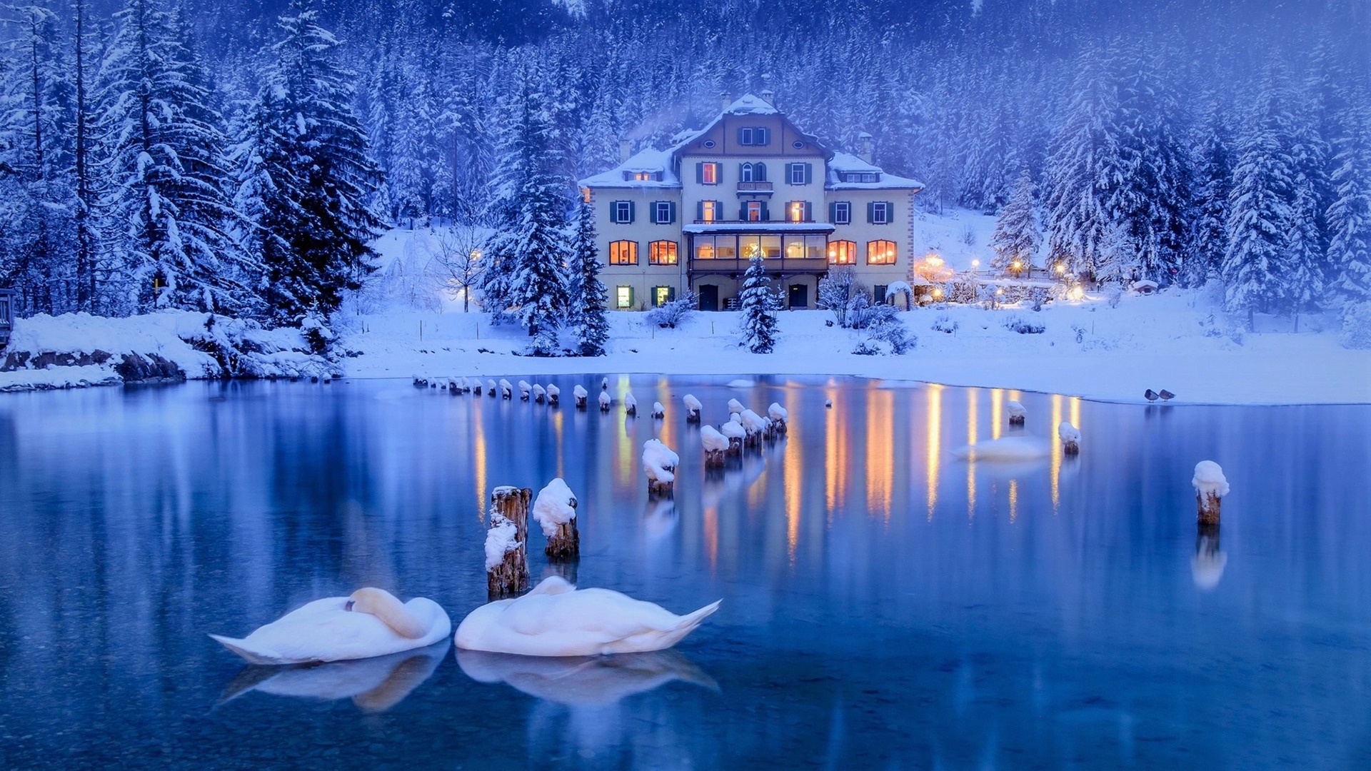 Laden Sie das Winter, Schnee, See, Haus, Schwan, Menschengemacht-Bild kostenlos auf Ihren PC-Desktop herunter