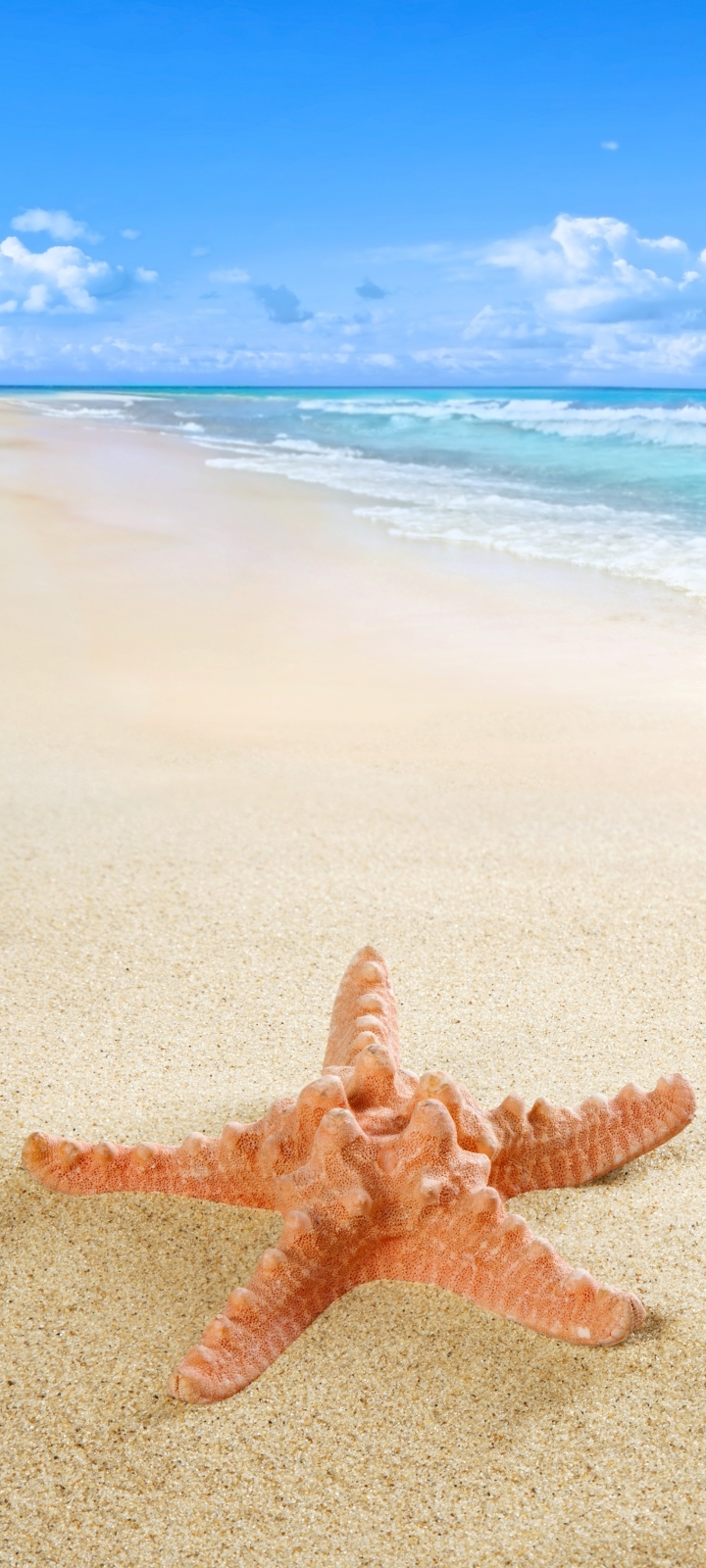 Download mobile wallpaper Nature, Sky, Beach, Sand, Starfish, Horizon, Ocean, Earth for free.