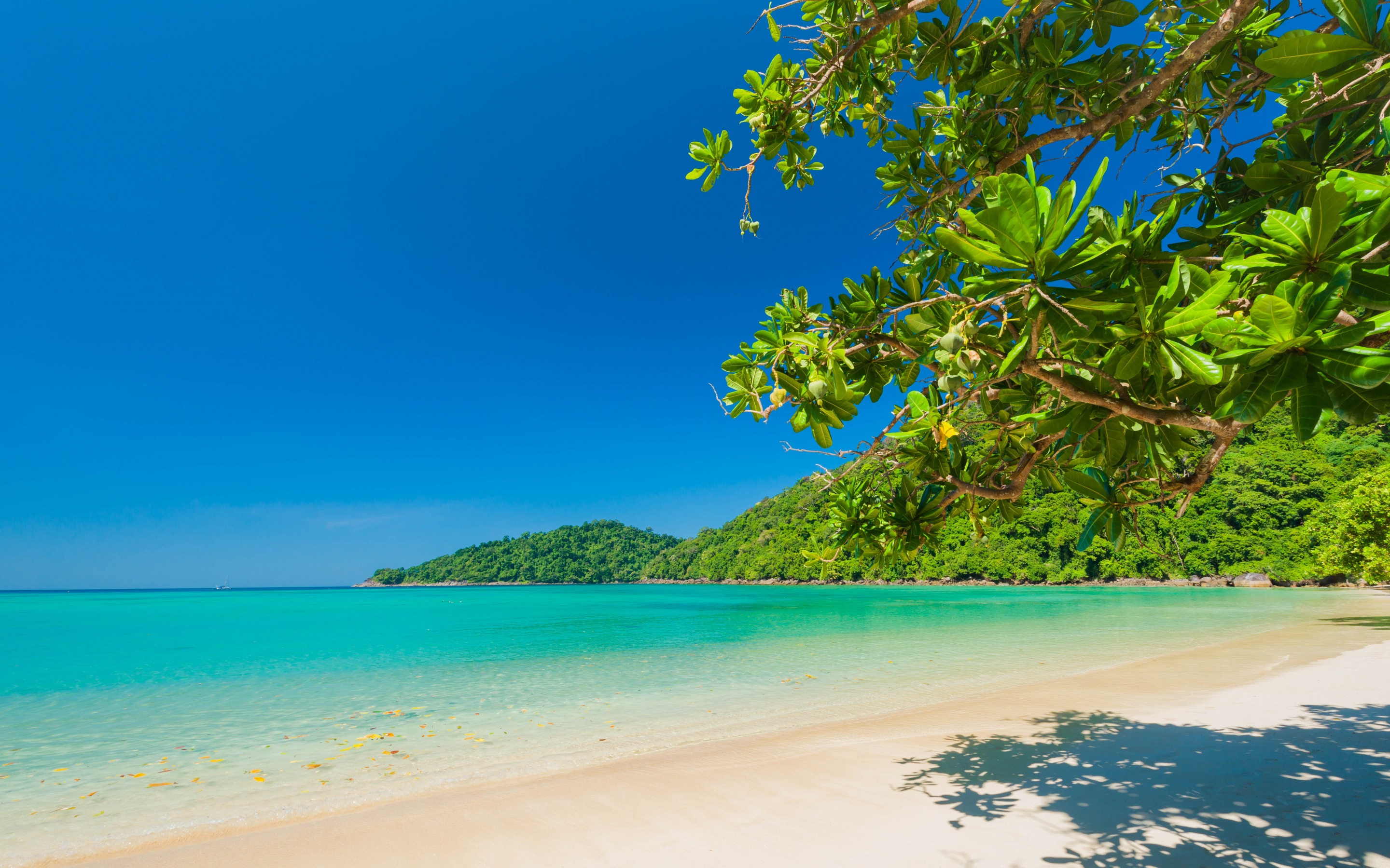 Free download wallpaper Landscape, Sea, Beach, Earth, Island, Tropical on your PC desktop