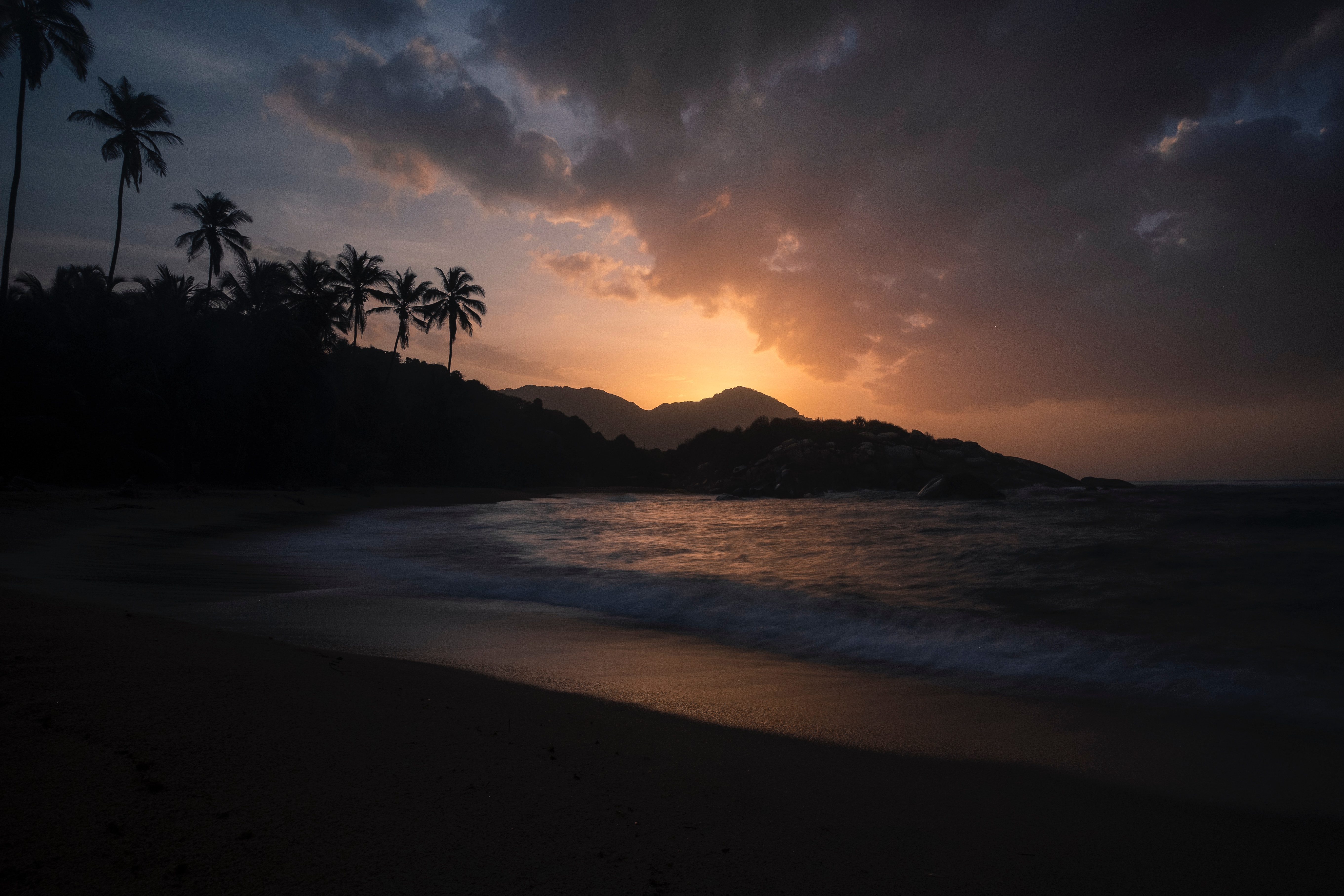 night, nature, bank, sunset, palms, shore, ocean, tropics 4K, Ultra HD