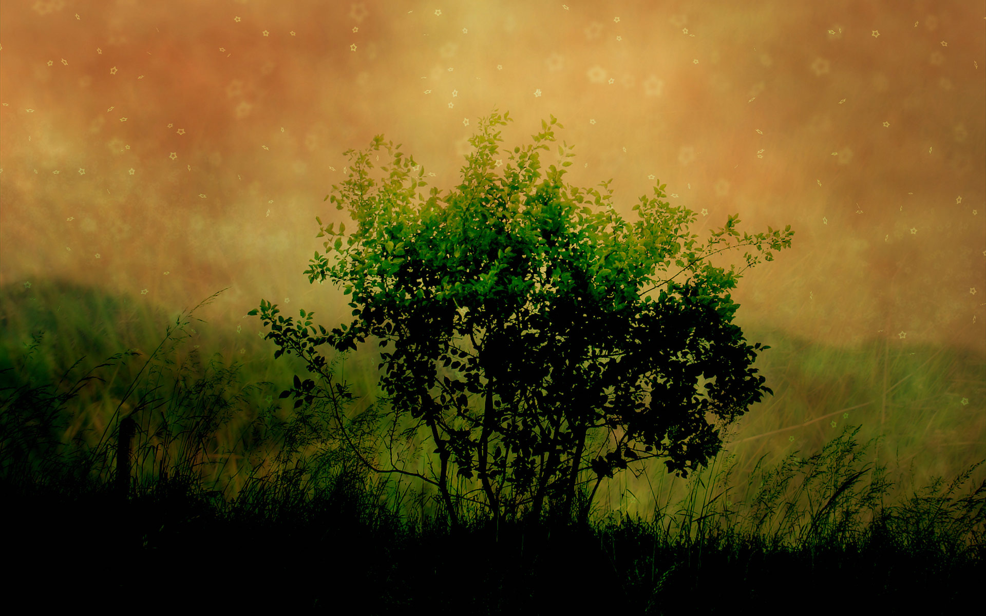 Download mobile wallpaper Trees, Tree, Earth for free.